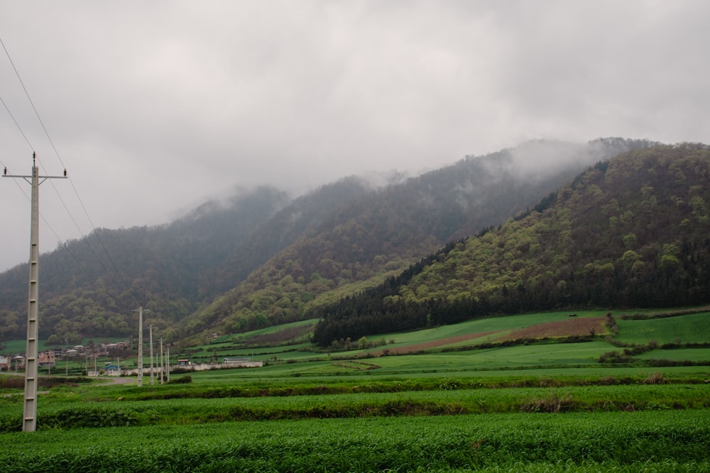 a green field with a mountain in the background