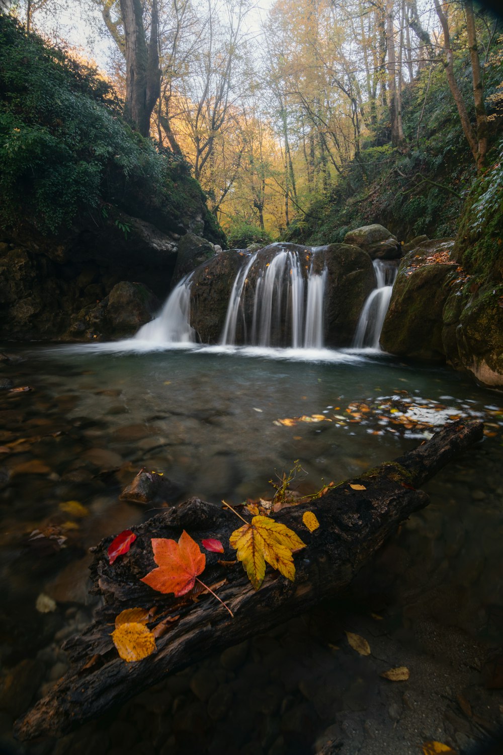 a small waterfall in the middle of a forest