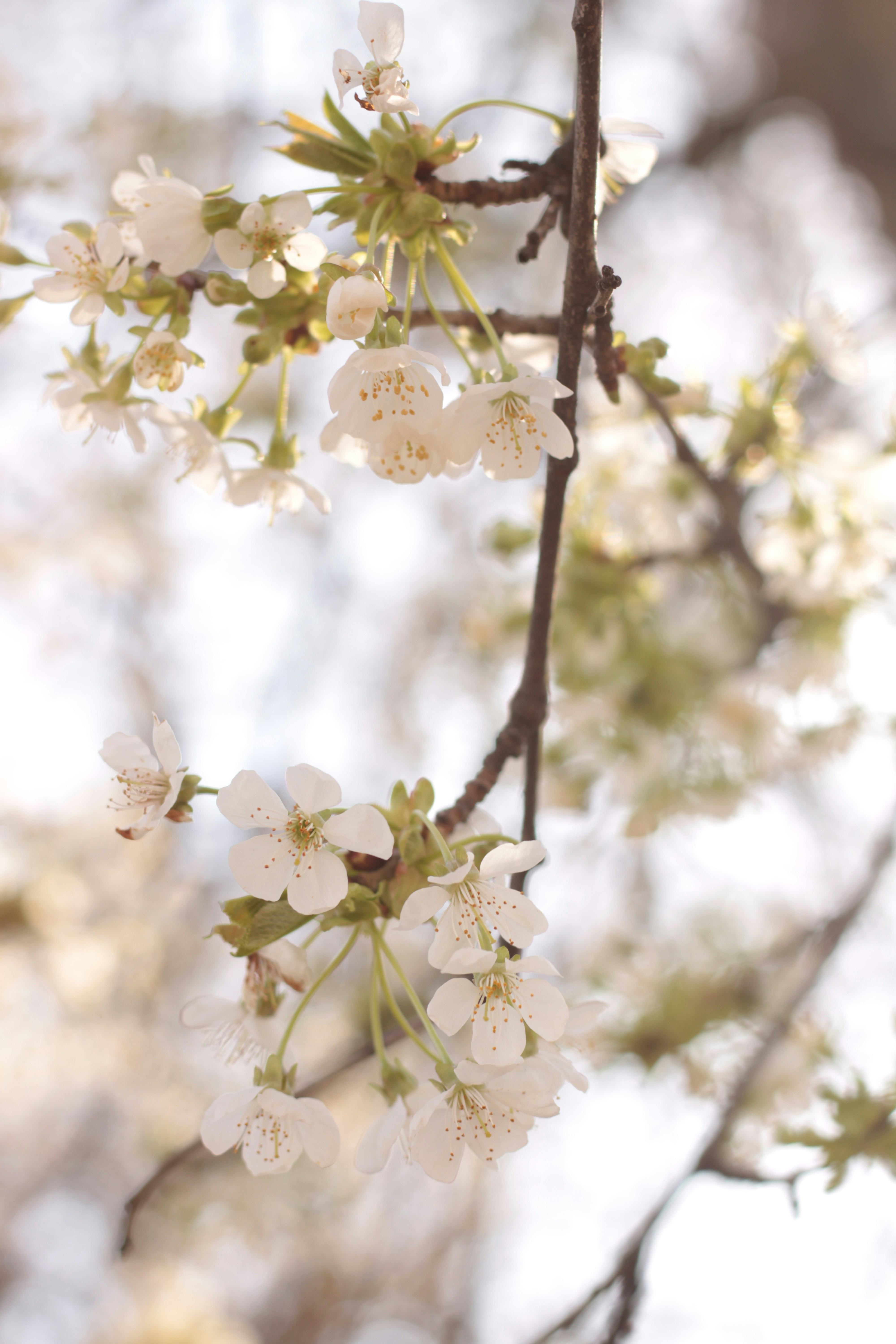 Photo by thorai9akira