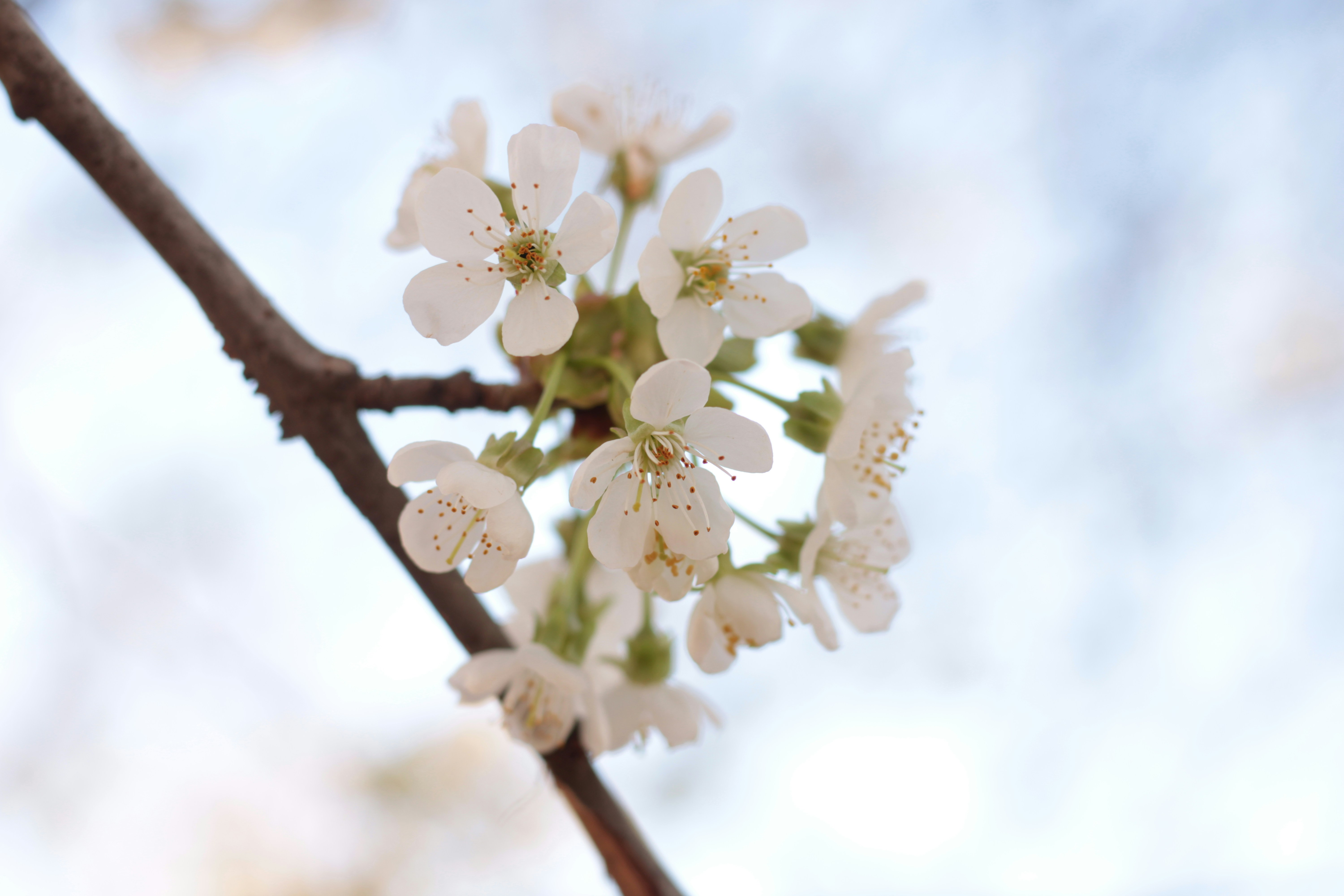 Photo by thorai9akira