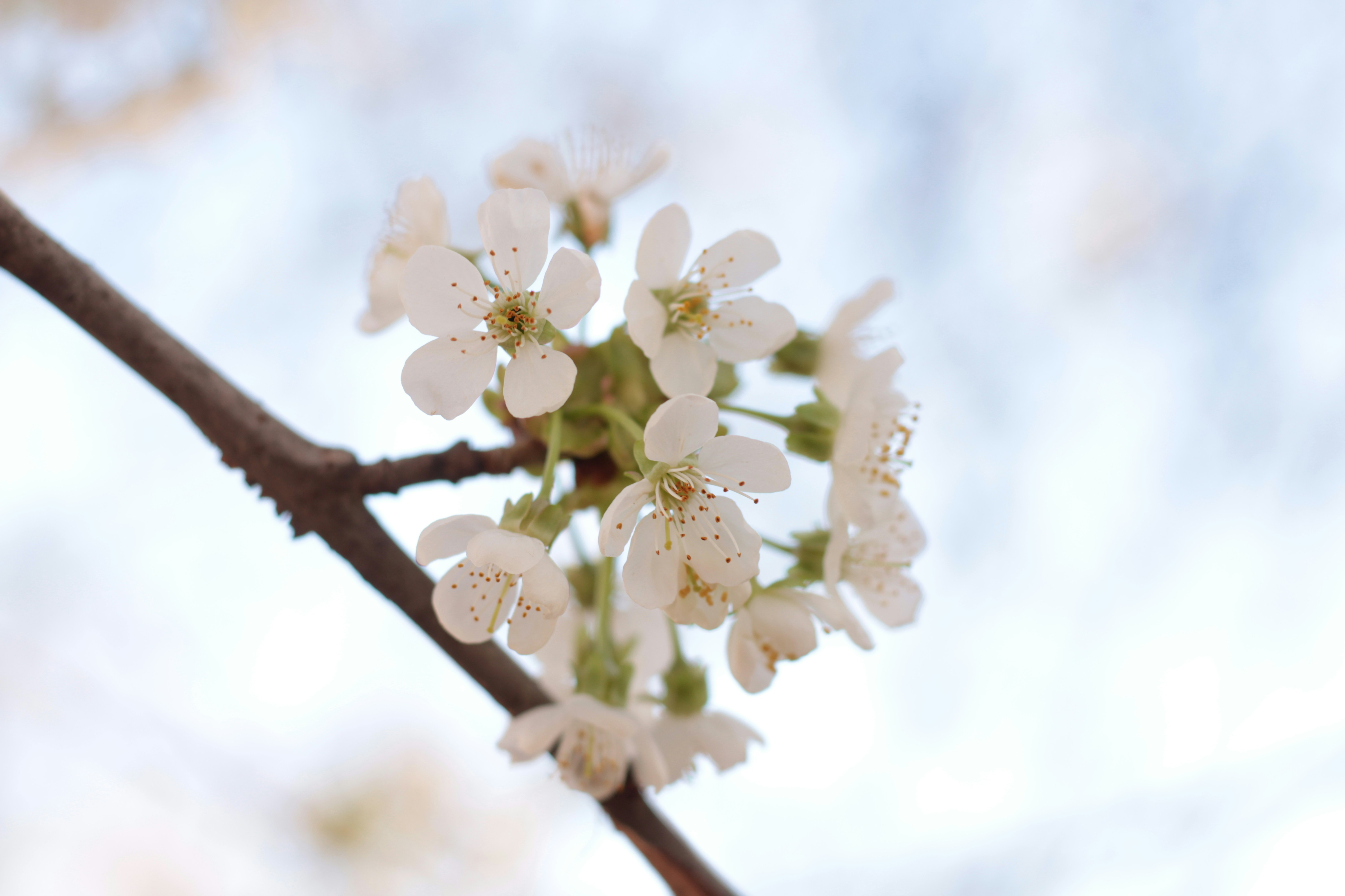 Photo by thorai9akira