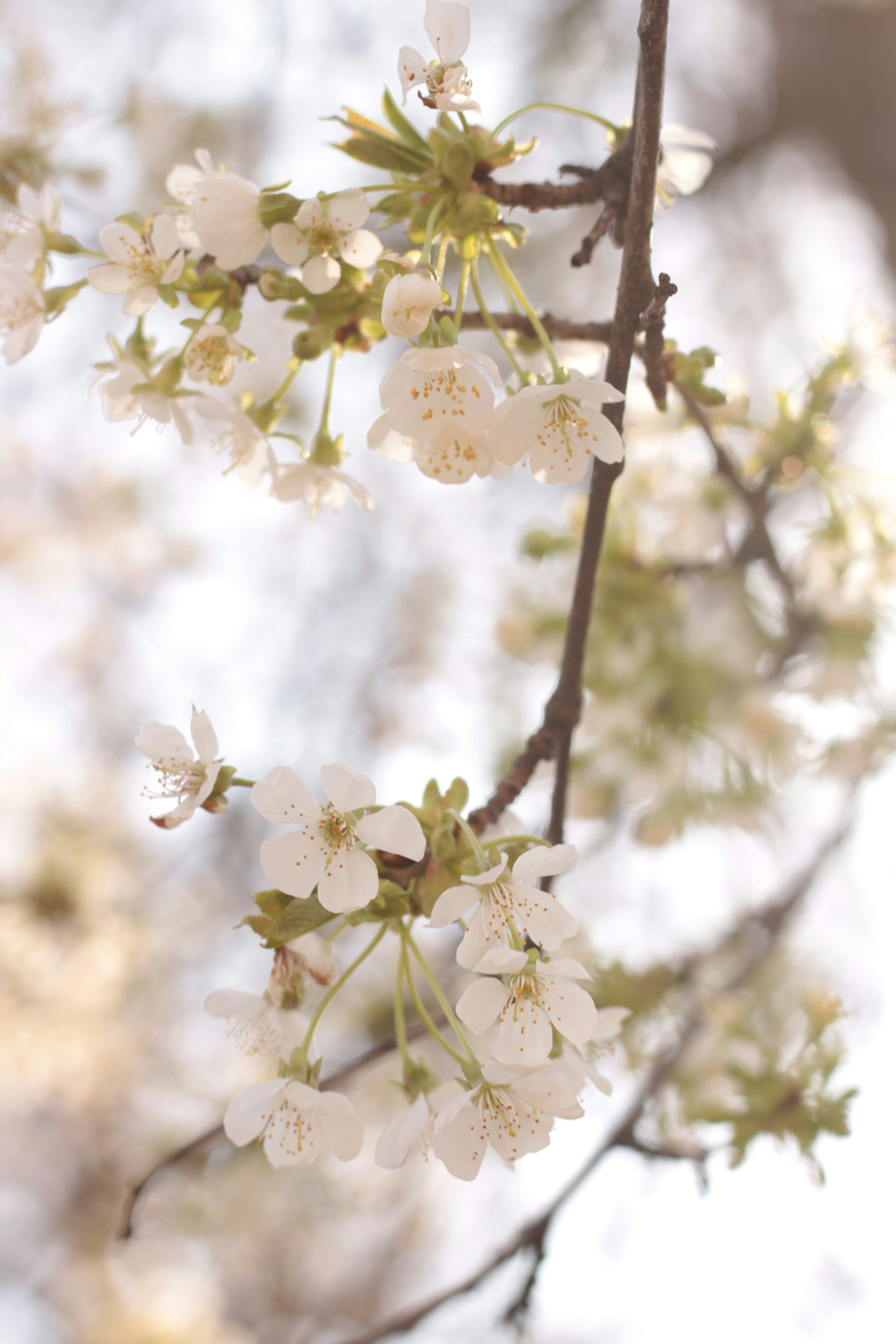 Photo by thorai9akira