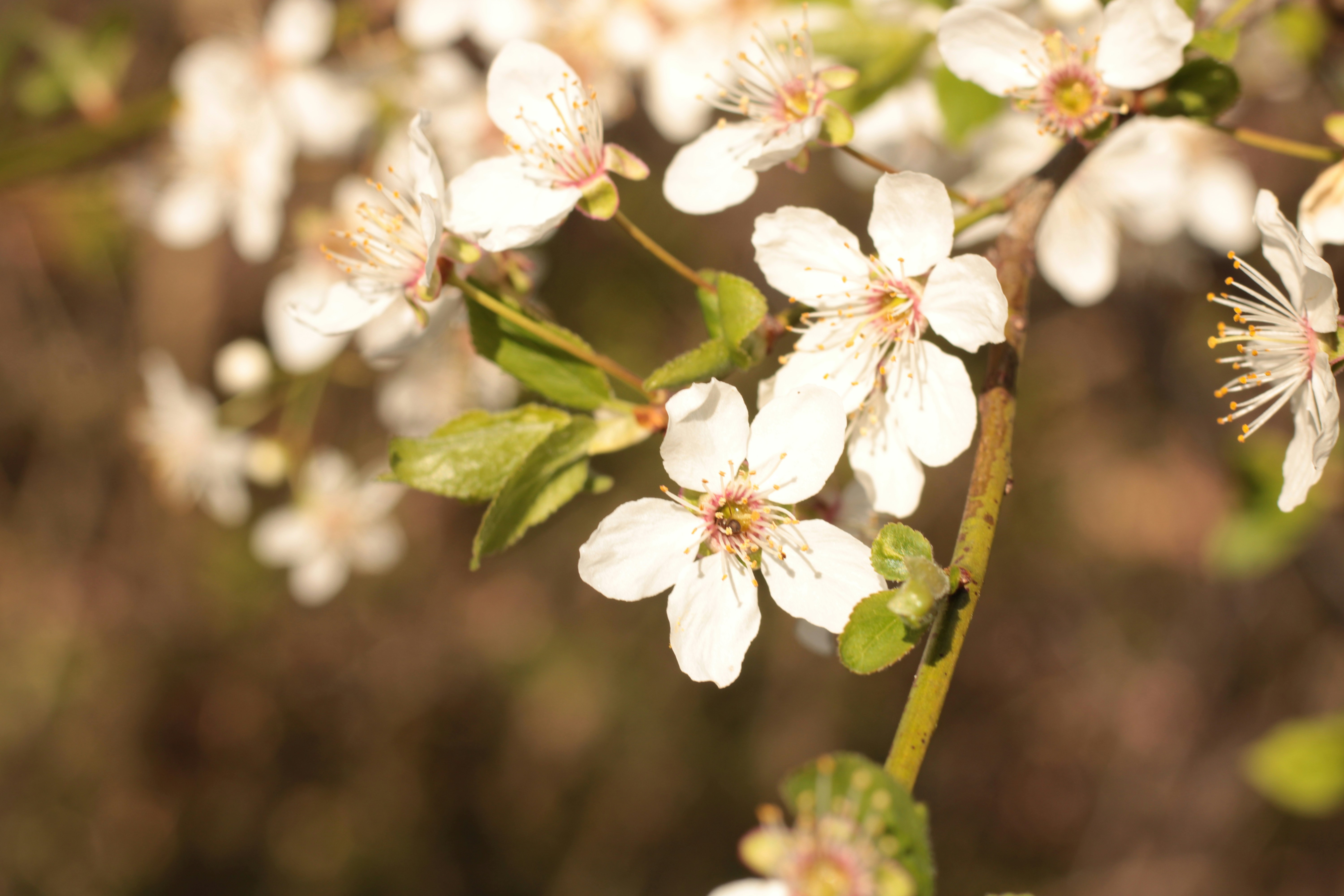 Photo by thorai9akira