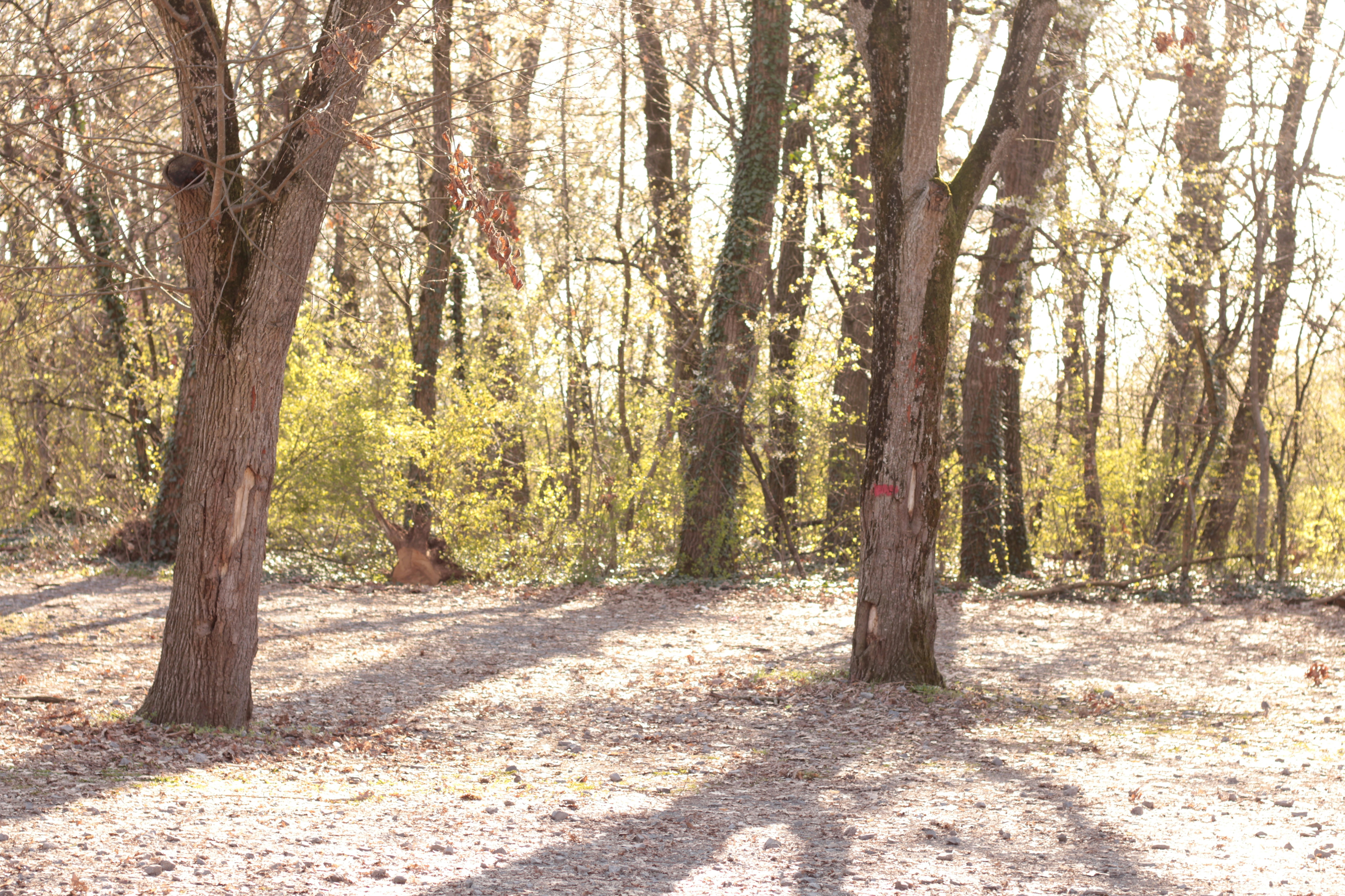 Photo by thorai9akira