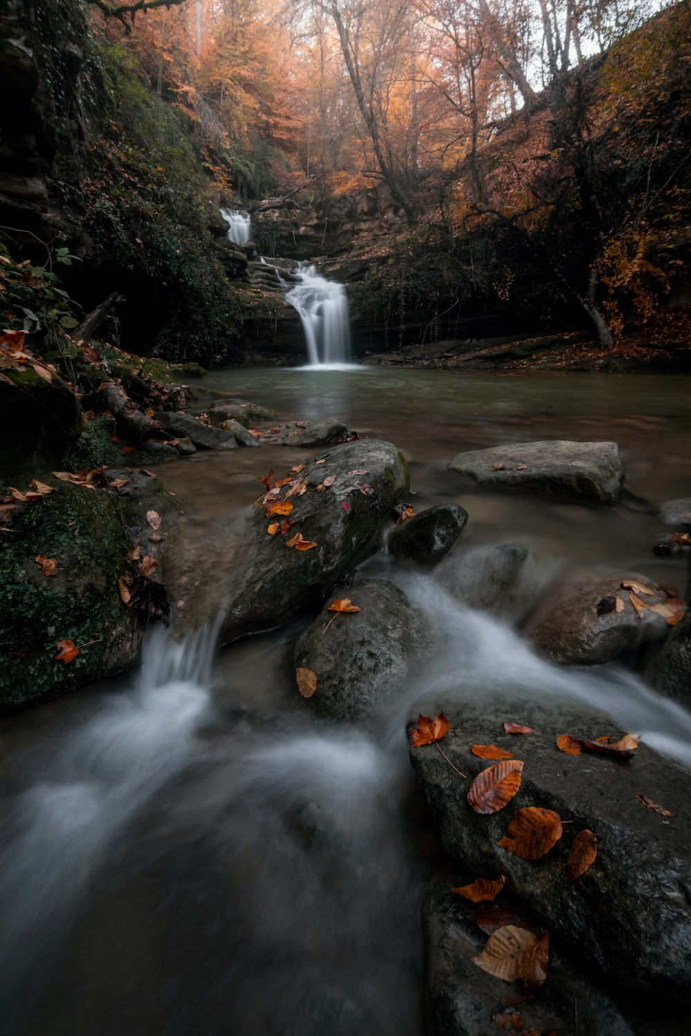 a small waterfall in the middle of a forest