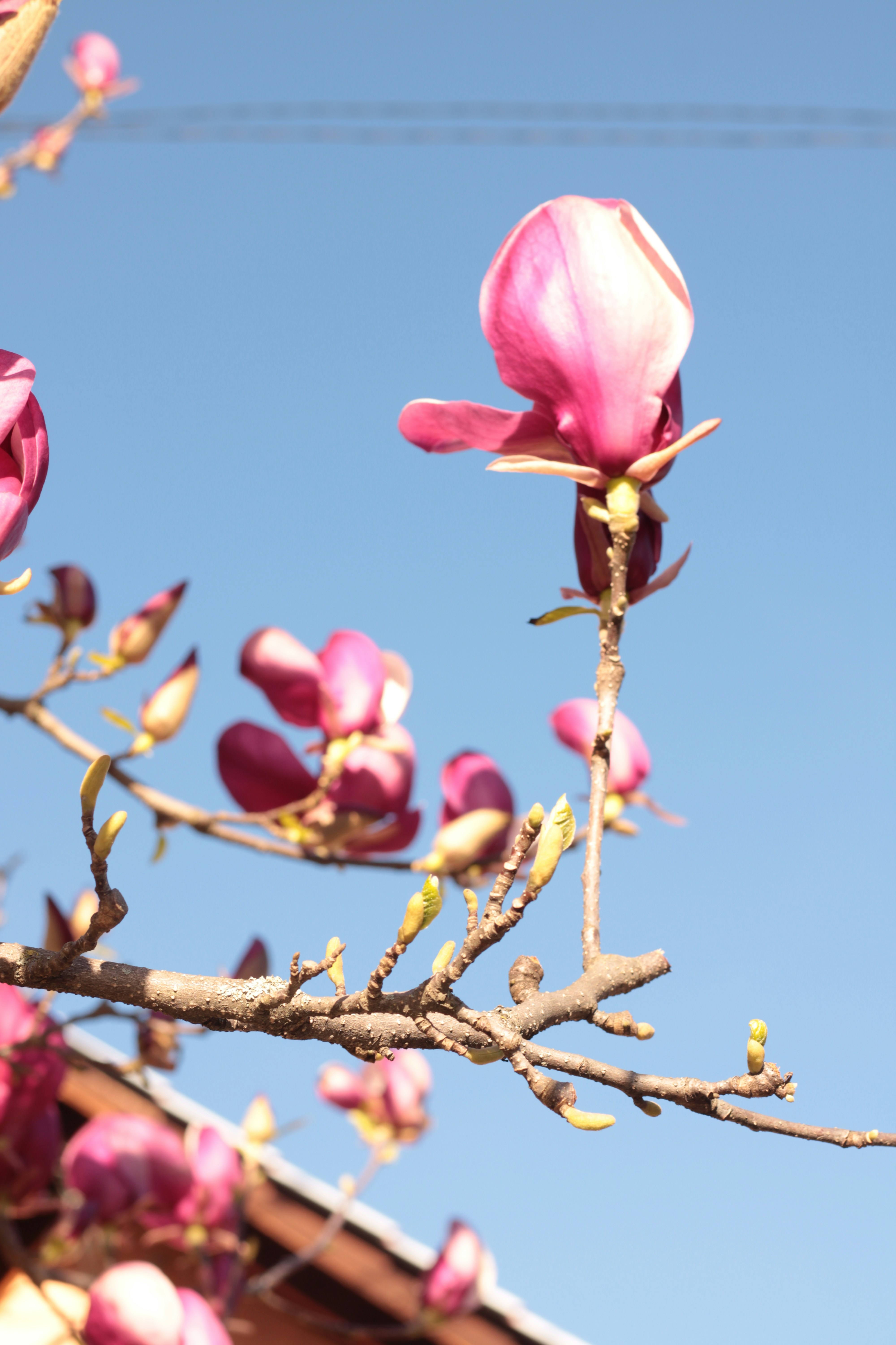 Photo by thorai9akira