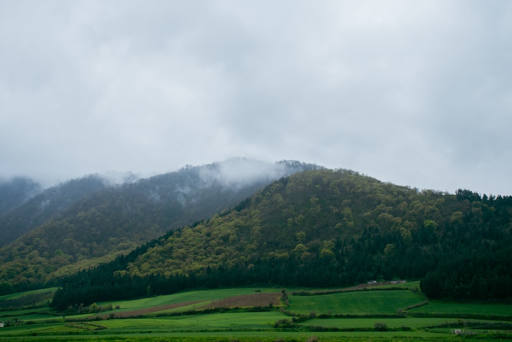 a lush green hillside covered in clouds and trees