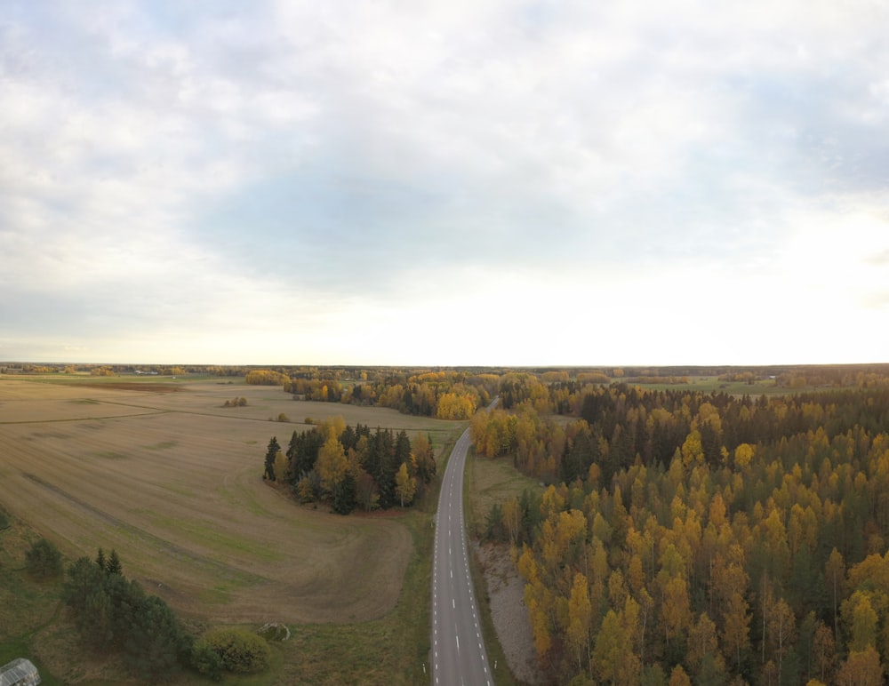 an aerial view of a road surrounded by trees