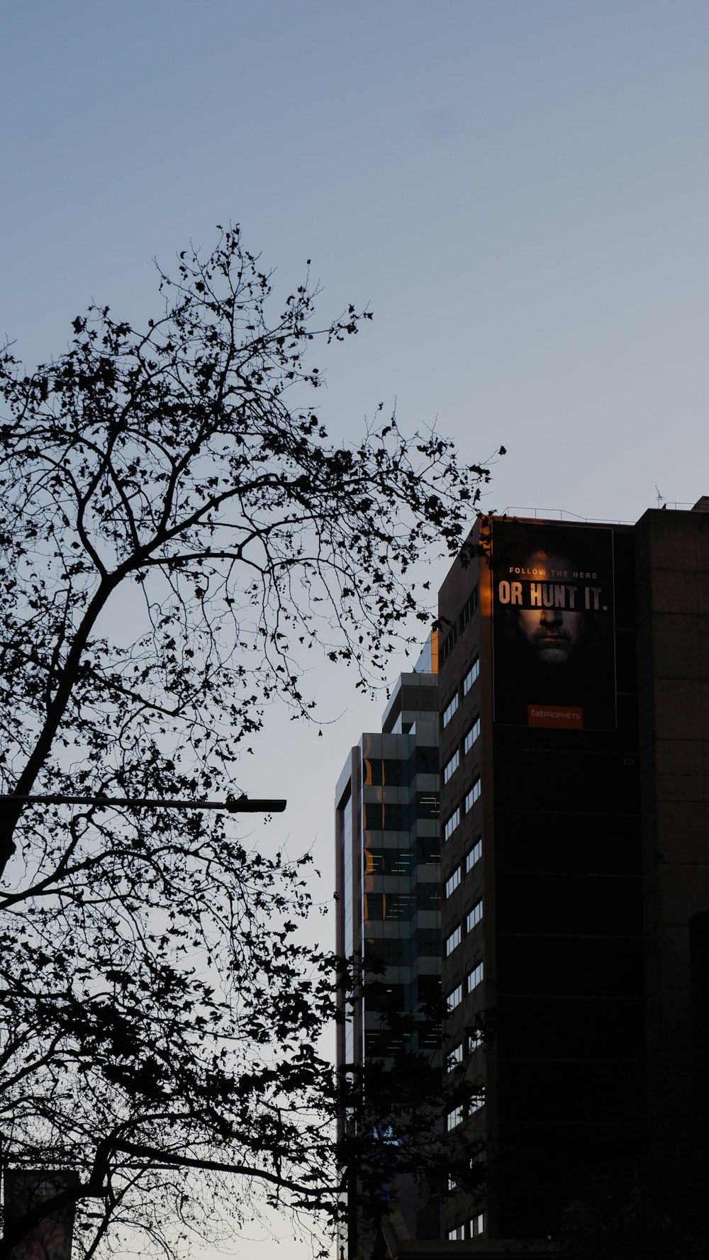 a tall building sitting next to a tree