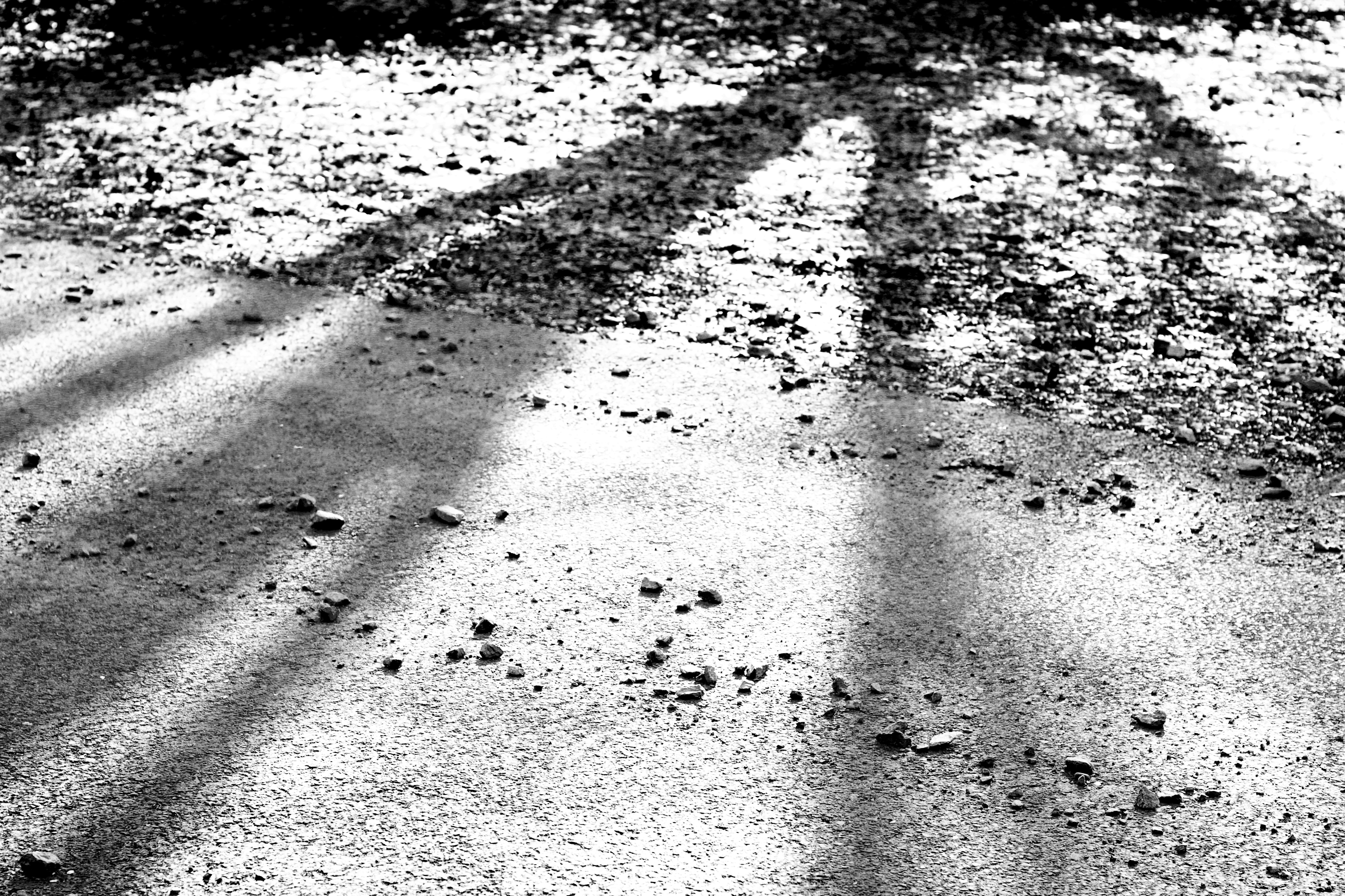 Photo by thorai9akira