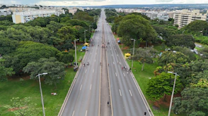 an aerial view of a city street with a long line of trees