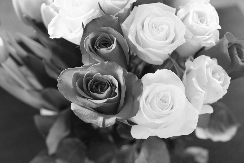 a bouquet of white roses in a vase