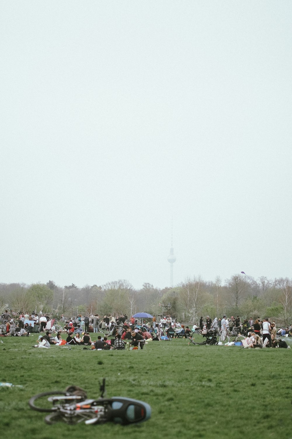 a large group of people sitting in a field