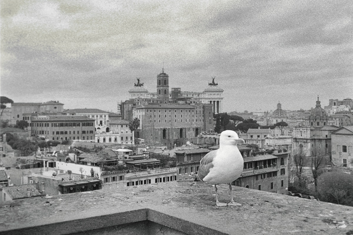 Riflessioni Dopo un Viaggio in Italia
