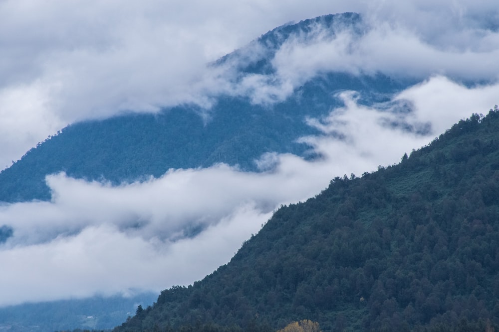 a mountain covered in clouds and trees in the foreground