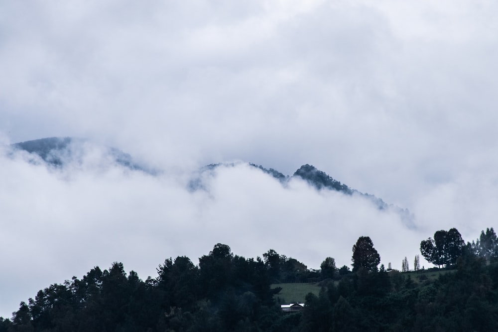 a mountain covered in fog and low lying clouds