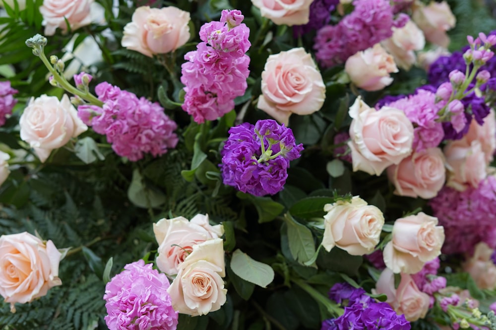 a bunch of flowers that are purple and pink