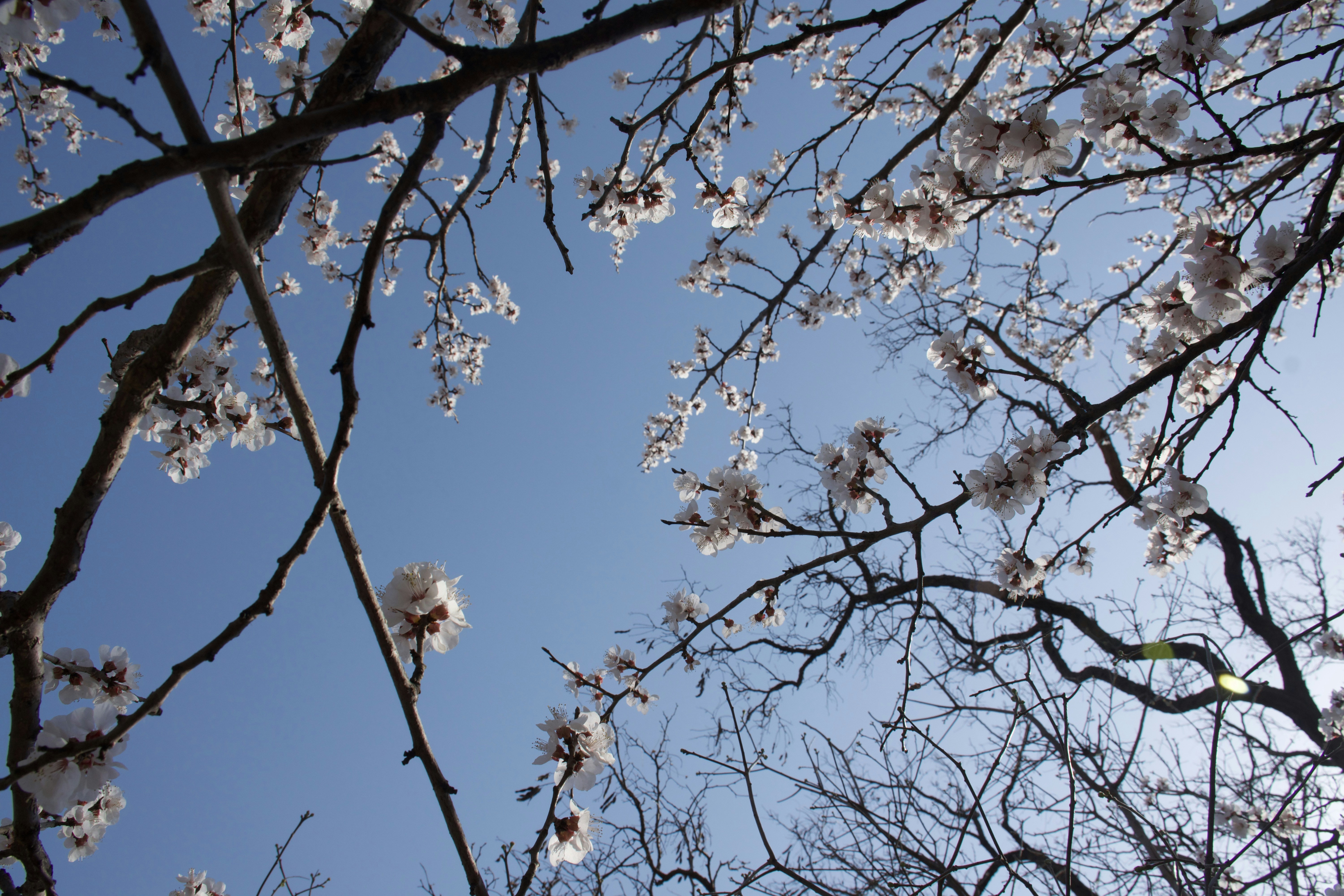 Photo by otfot