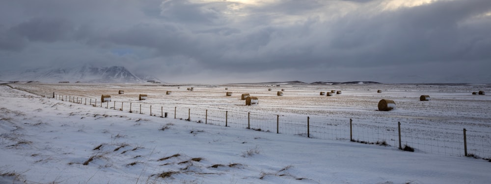 a snow covered field with bales of hay