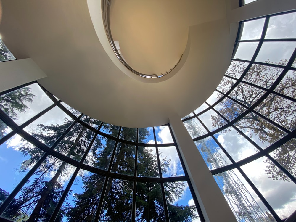 looking up at the sky through the windows of a building