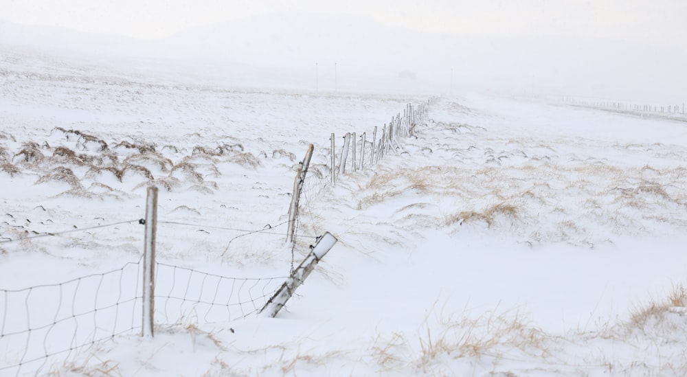 a fence in the middle of a snowy field