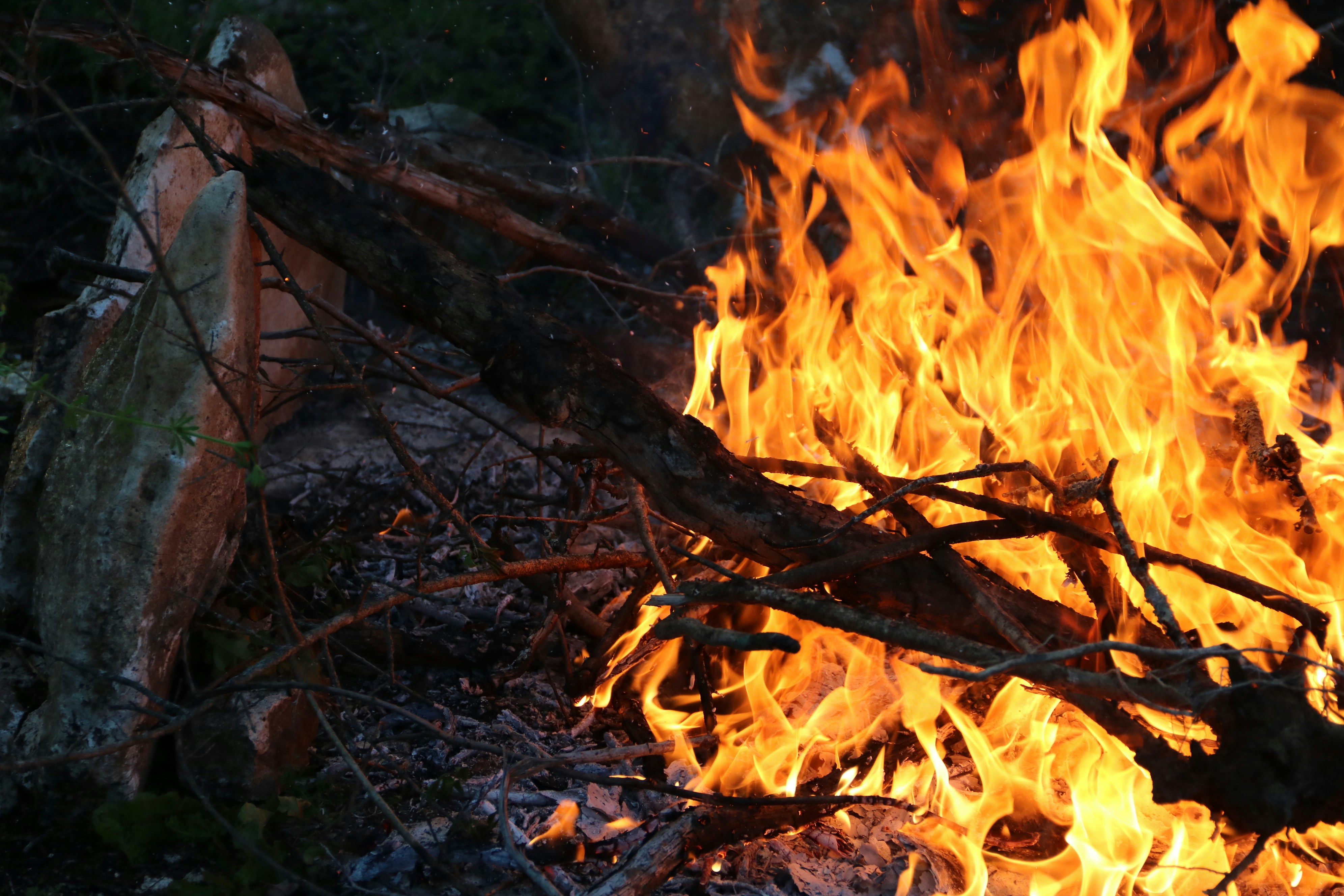 Photo by bellerod123