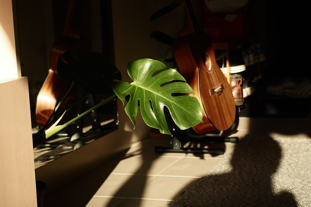 a large green leaf sitting on top of a wooden chair