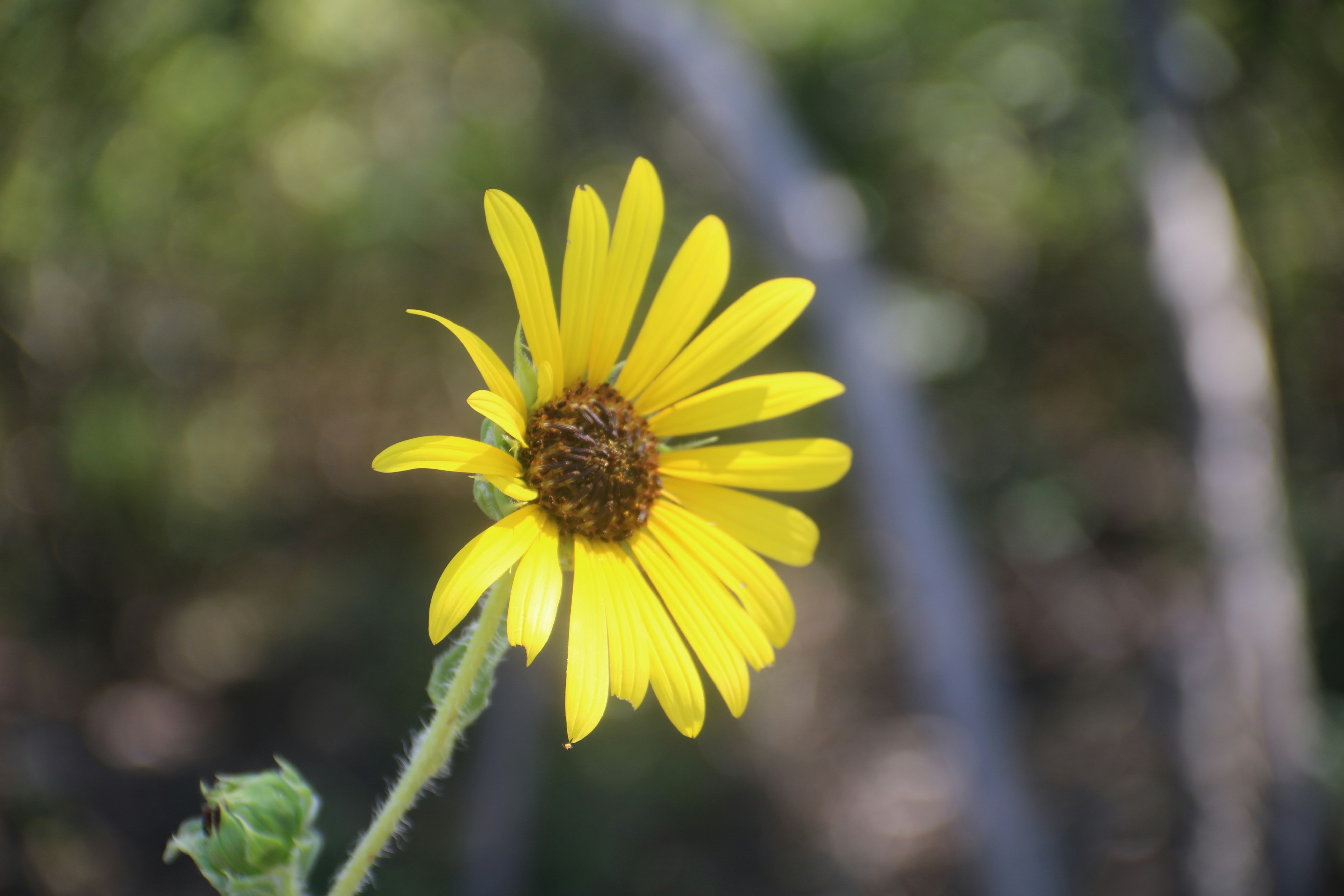 Photo by bellerod123