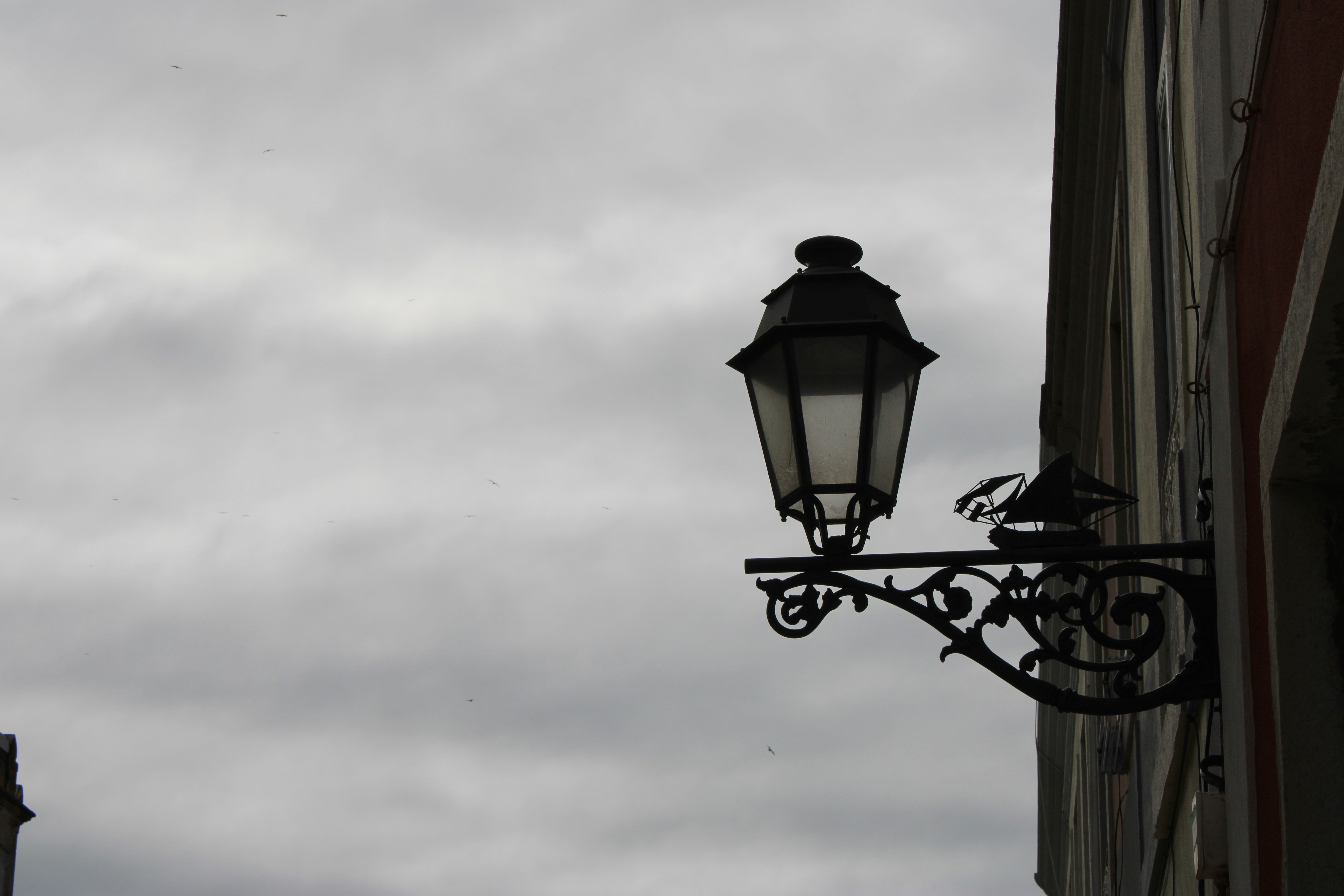 Photo by ines1almeida