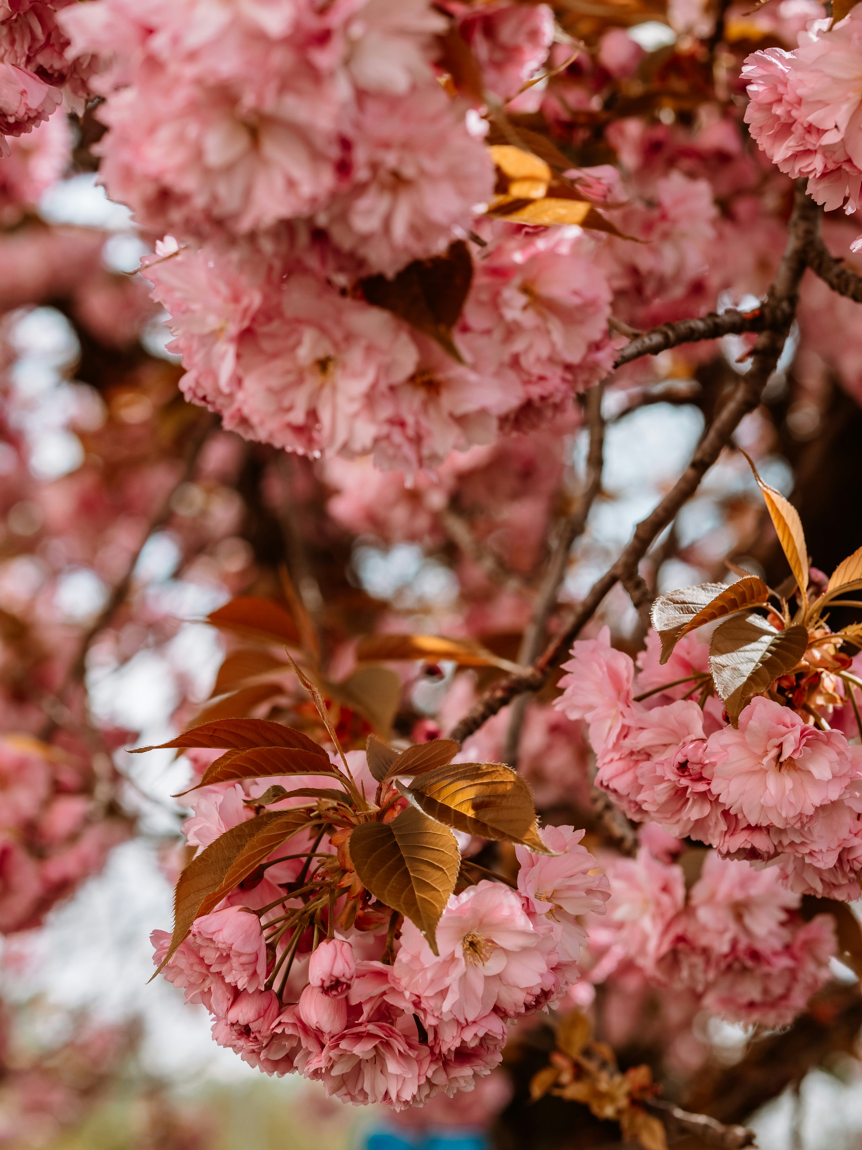 Photo by zahorulko__alina