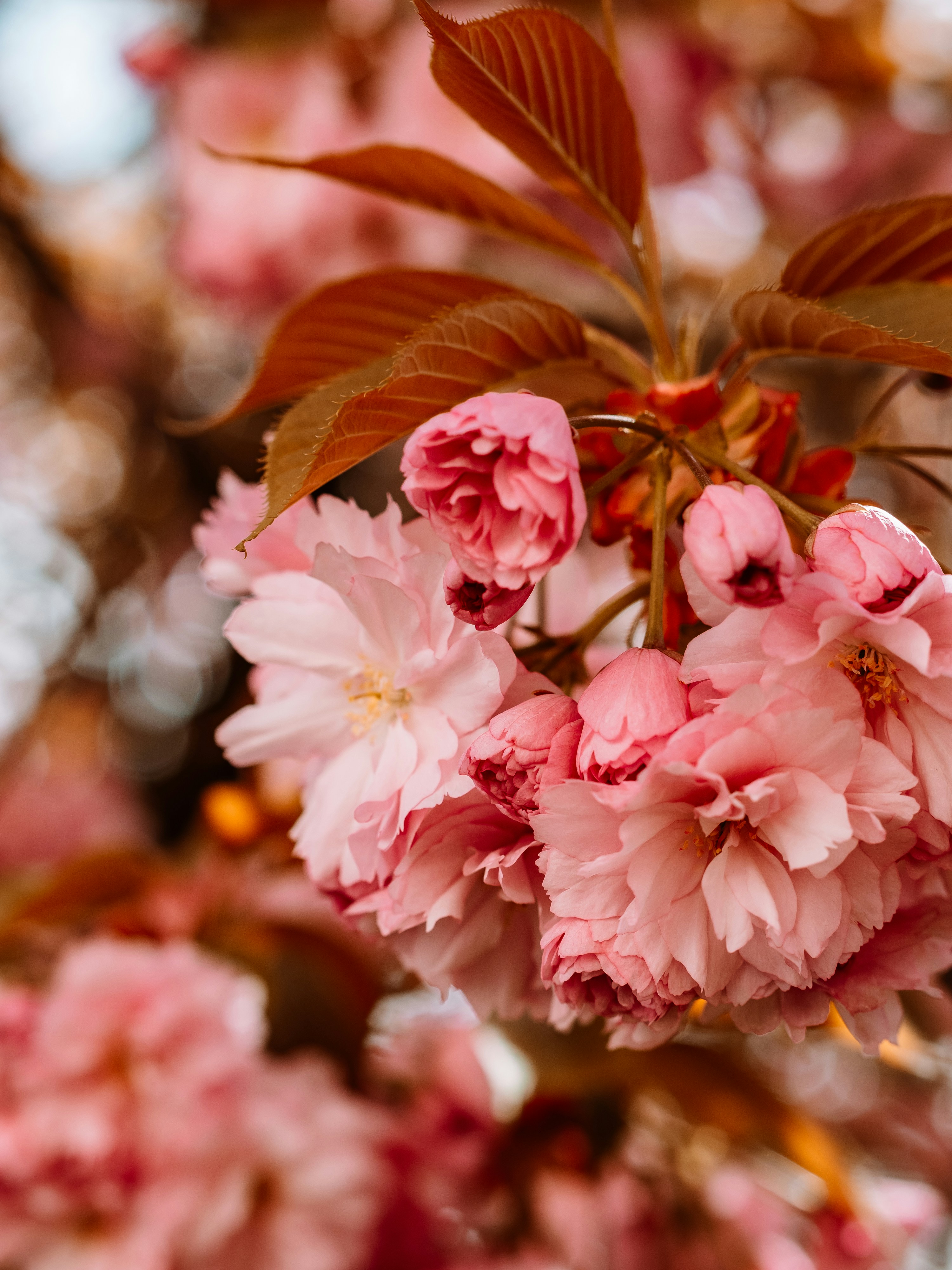 Photo by zahorulko__alina