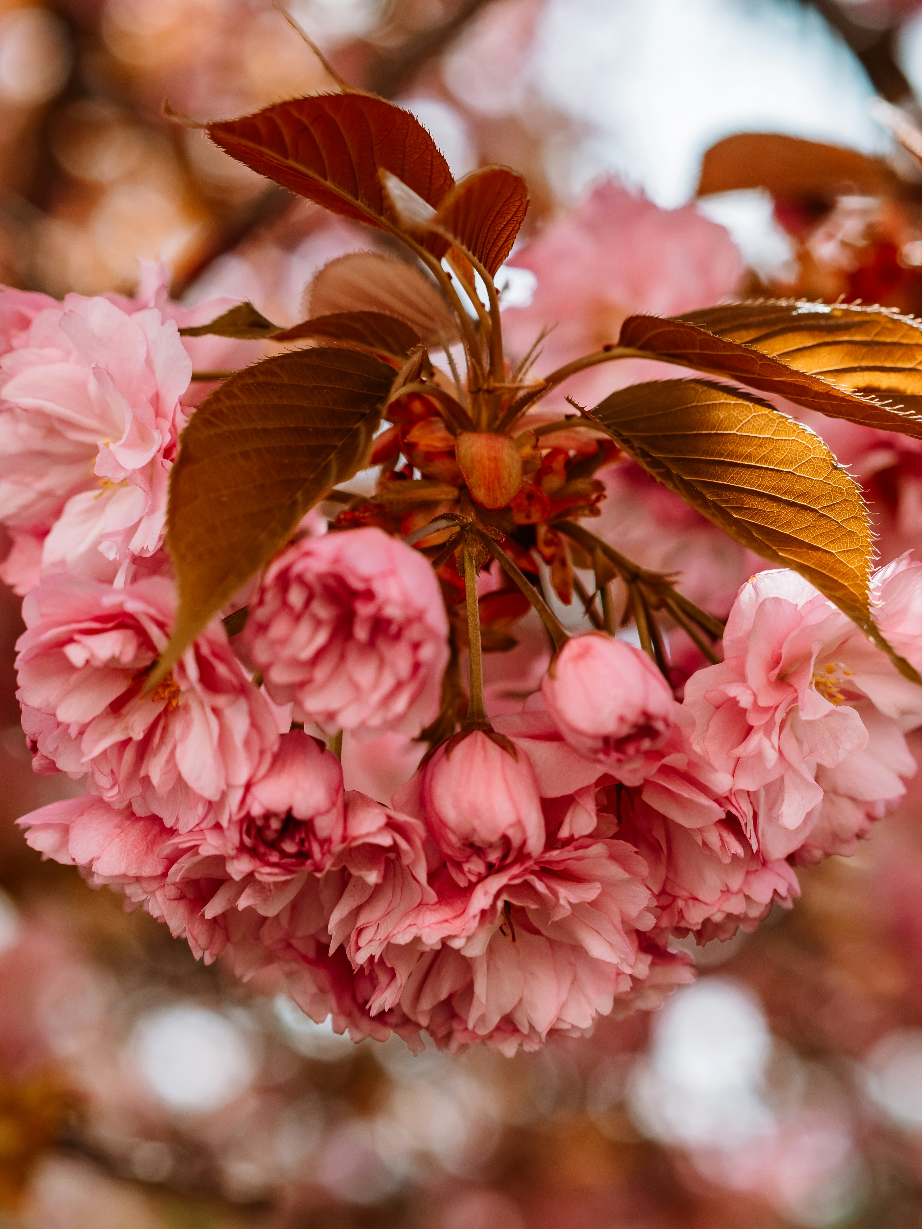 Photo by zahorulko__alina