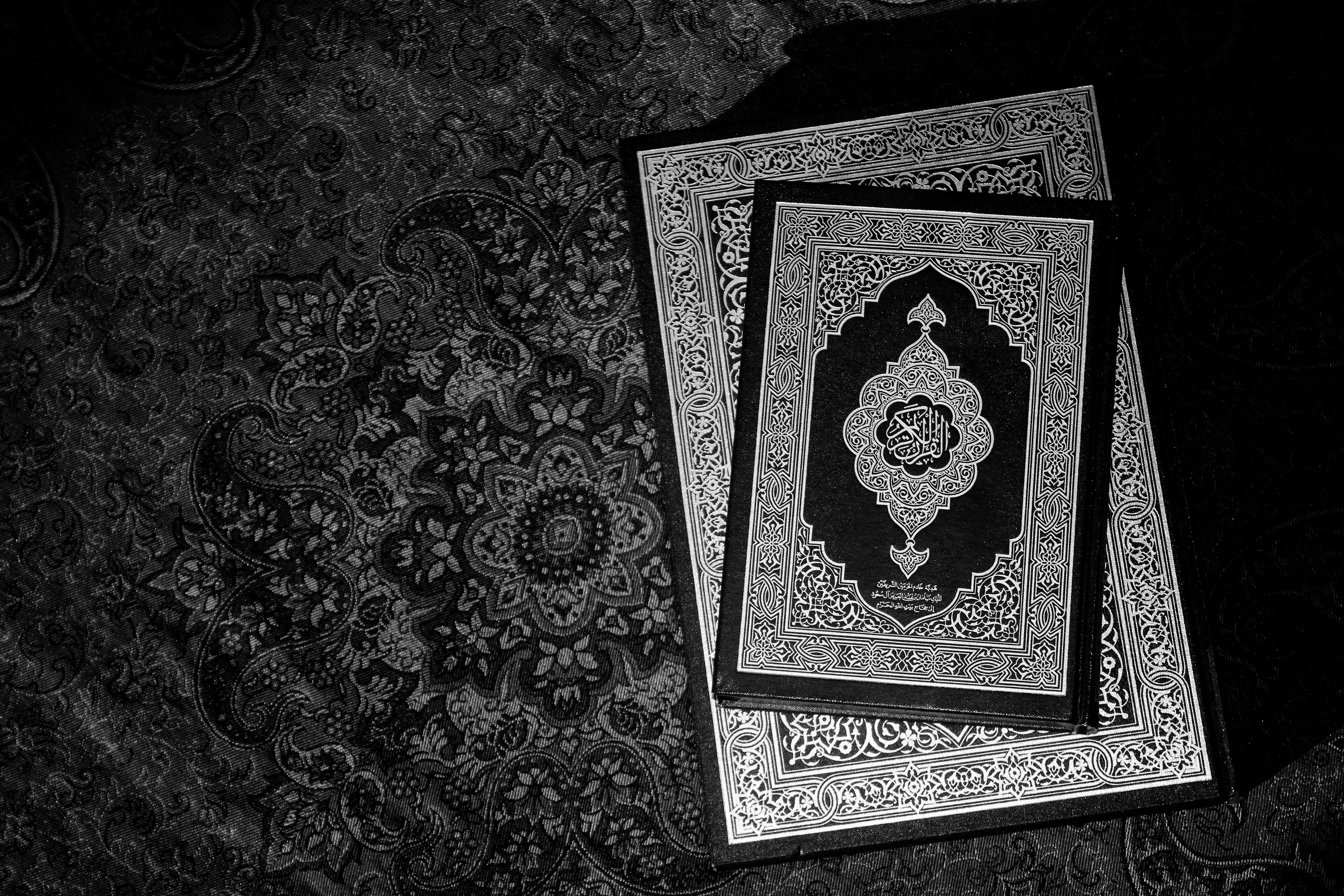 Photo by manavimoghadam