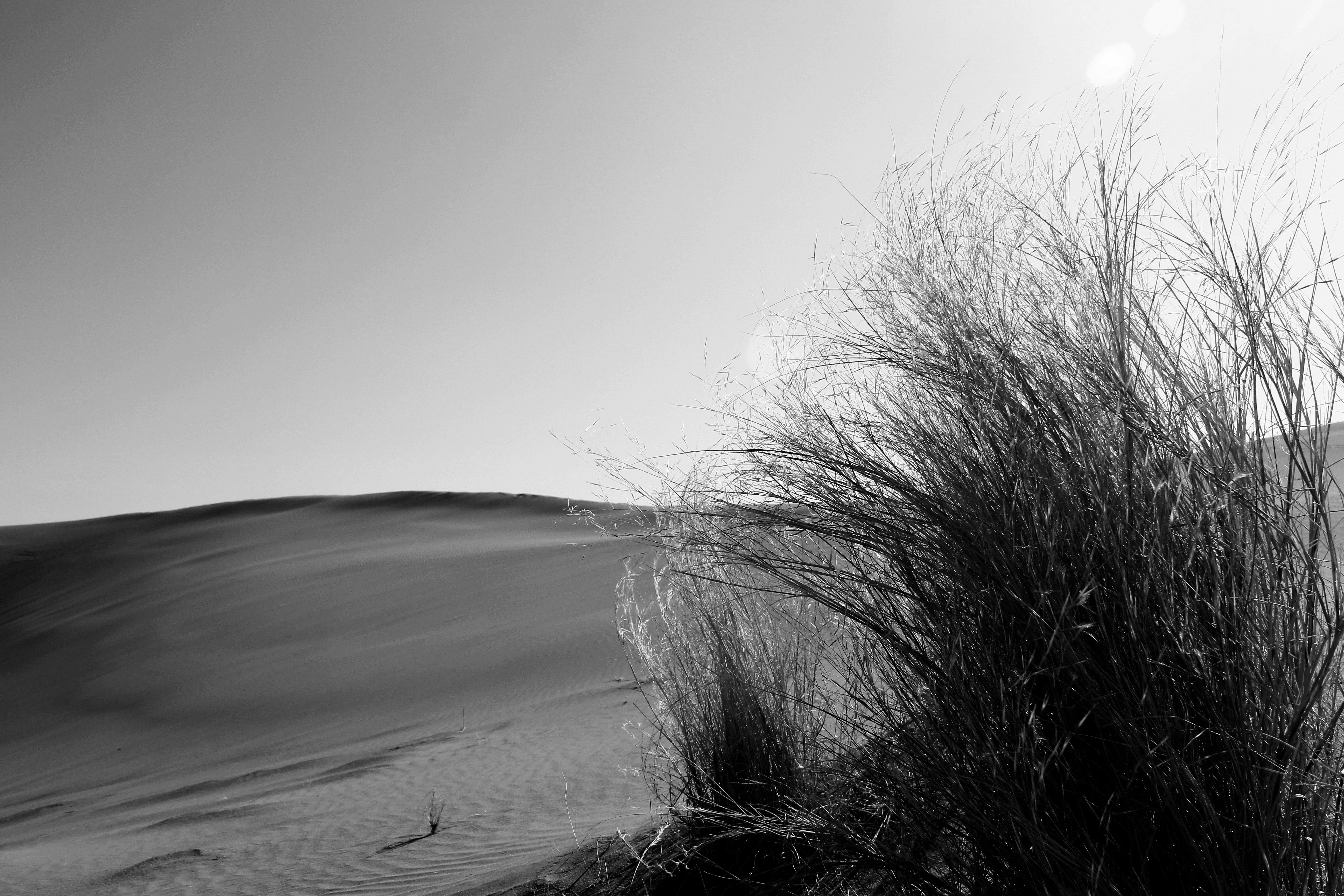 Photo by manavimoghadam