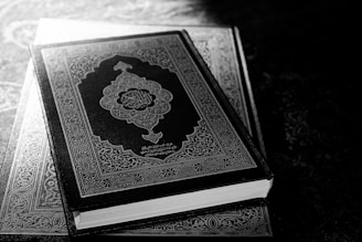 a black and white photo of a book