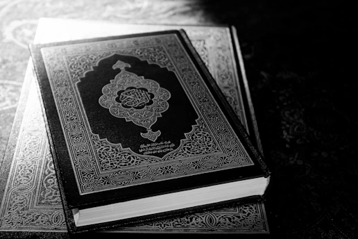 a black and white photo of a book