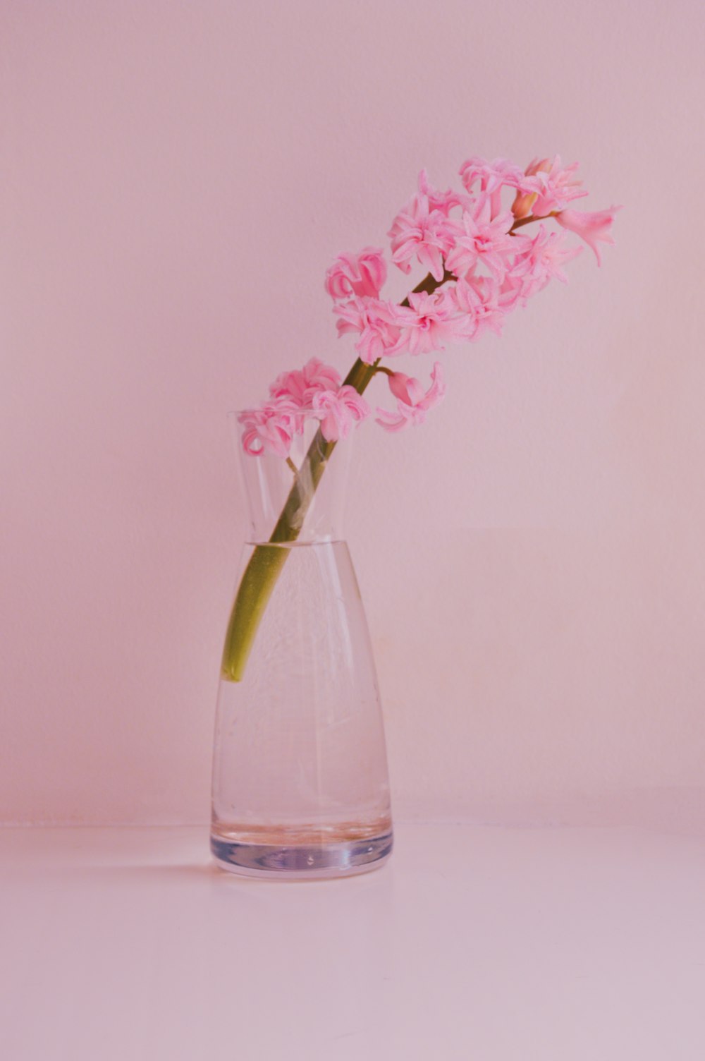 a pink flower in a clear glass vase