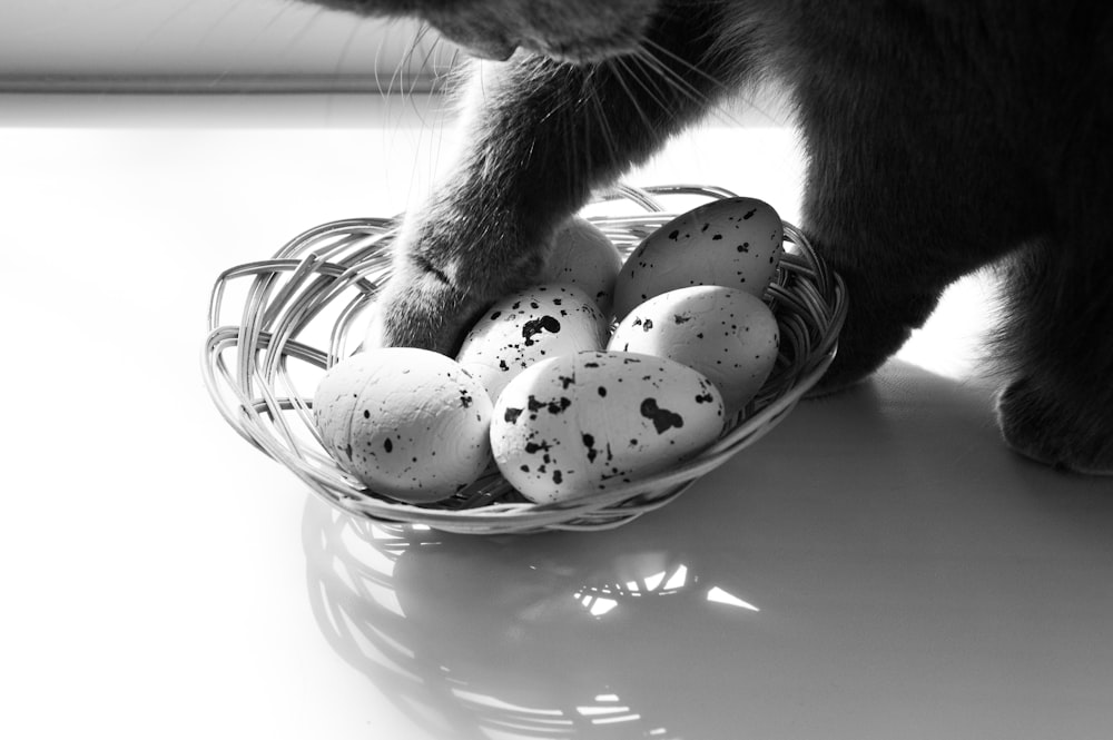 a black and white photo of a cat sniffing a basket of eggs