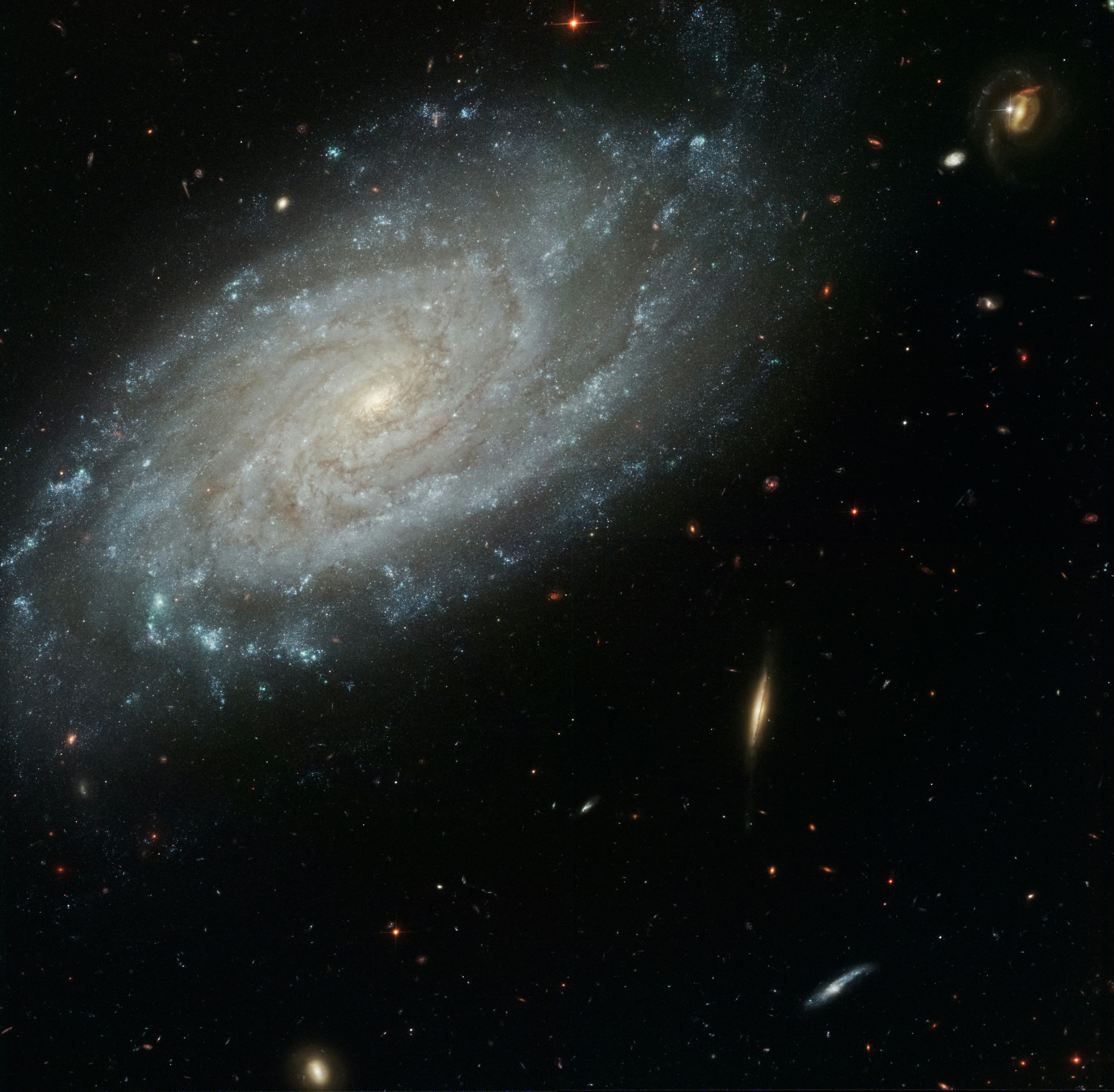 Spiral Galaxy NGC 3370 Credits NASA, The Hubble Heritage Team and A. Riess (STScI)
