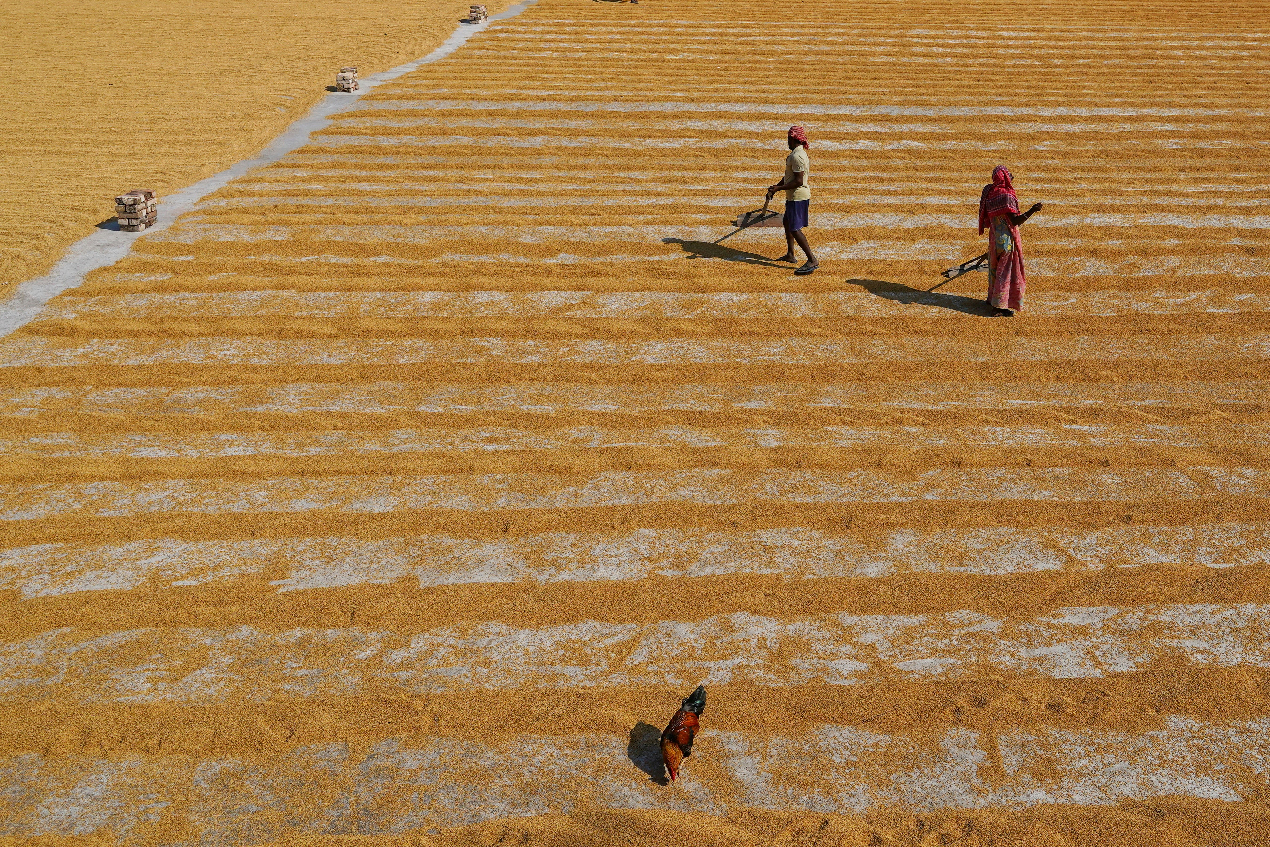 Photo by dibakar16roy