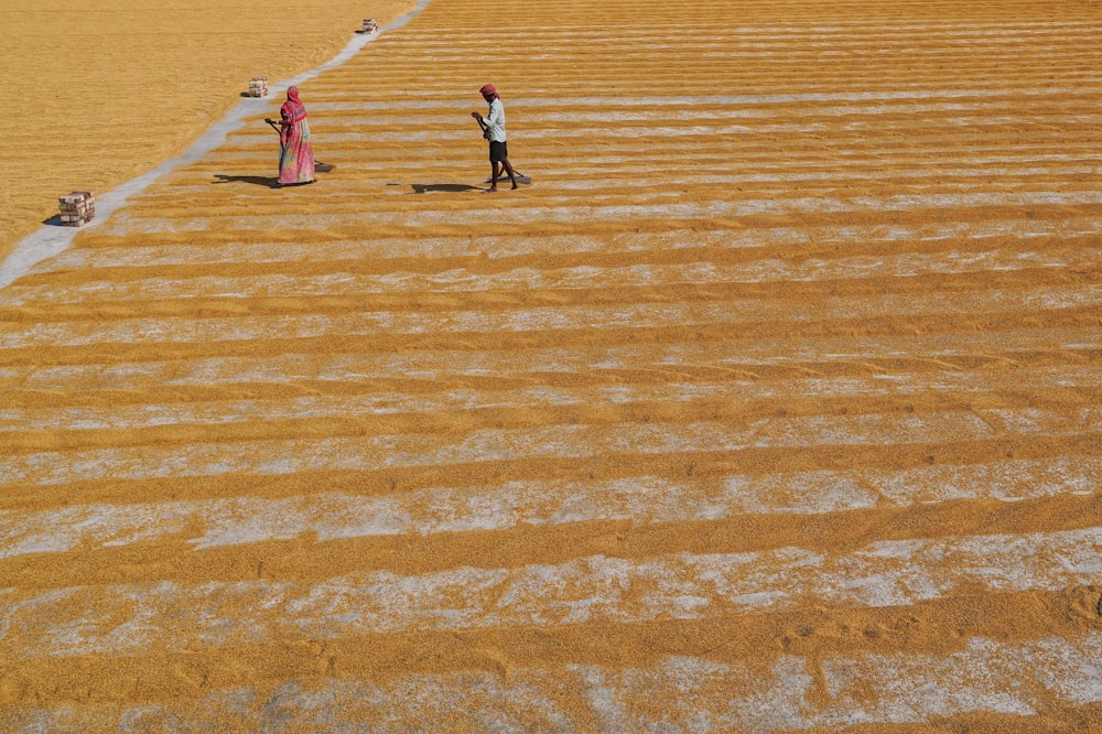 a couple of people standing on top of a dry grass field