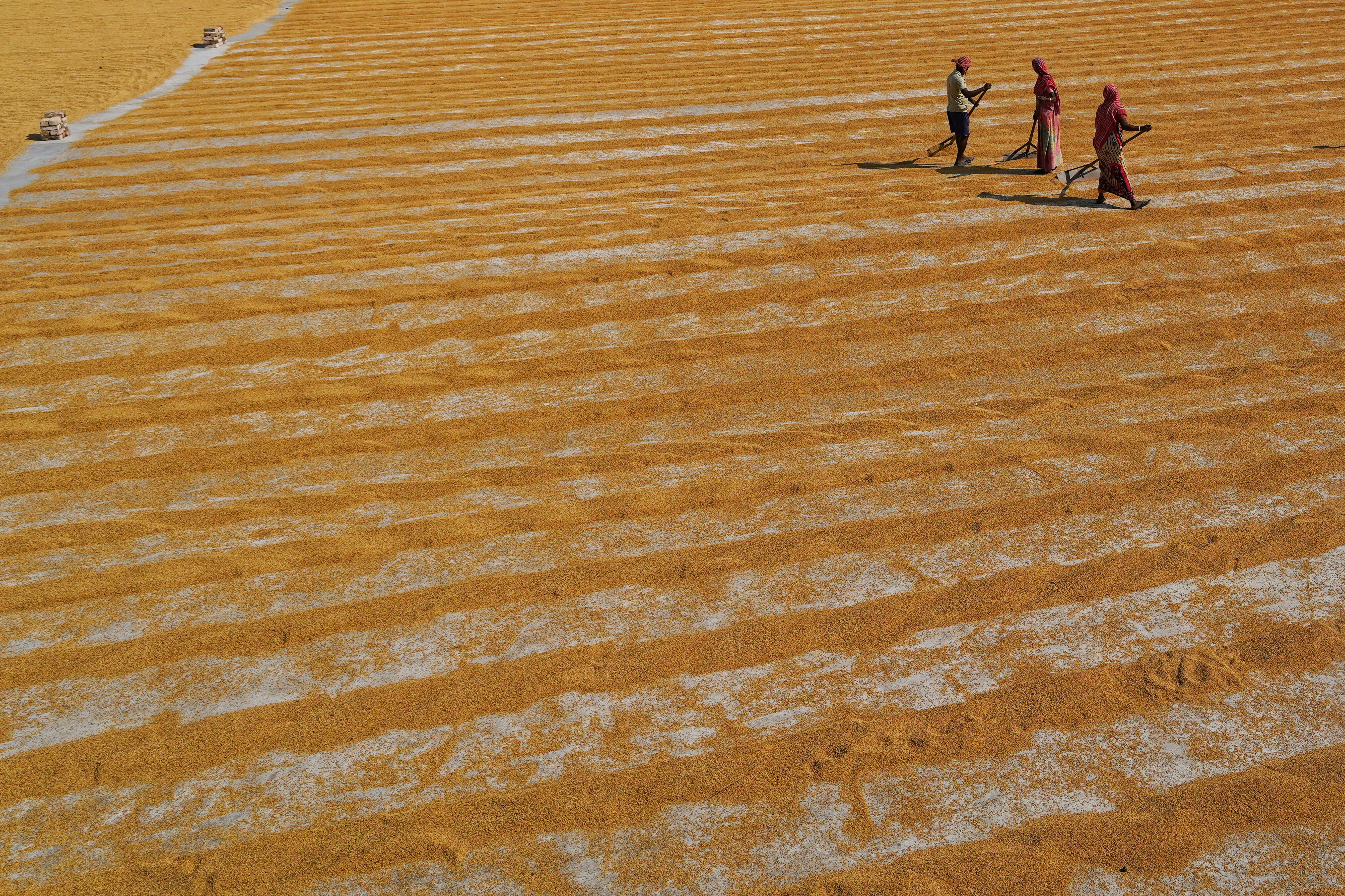 Photo by dibakar16roy