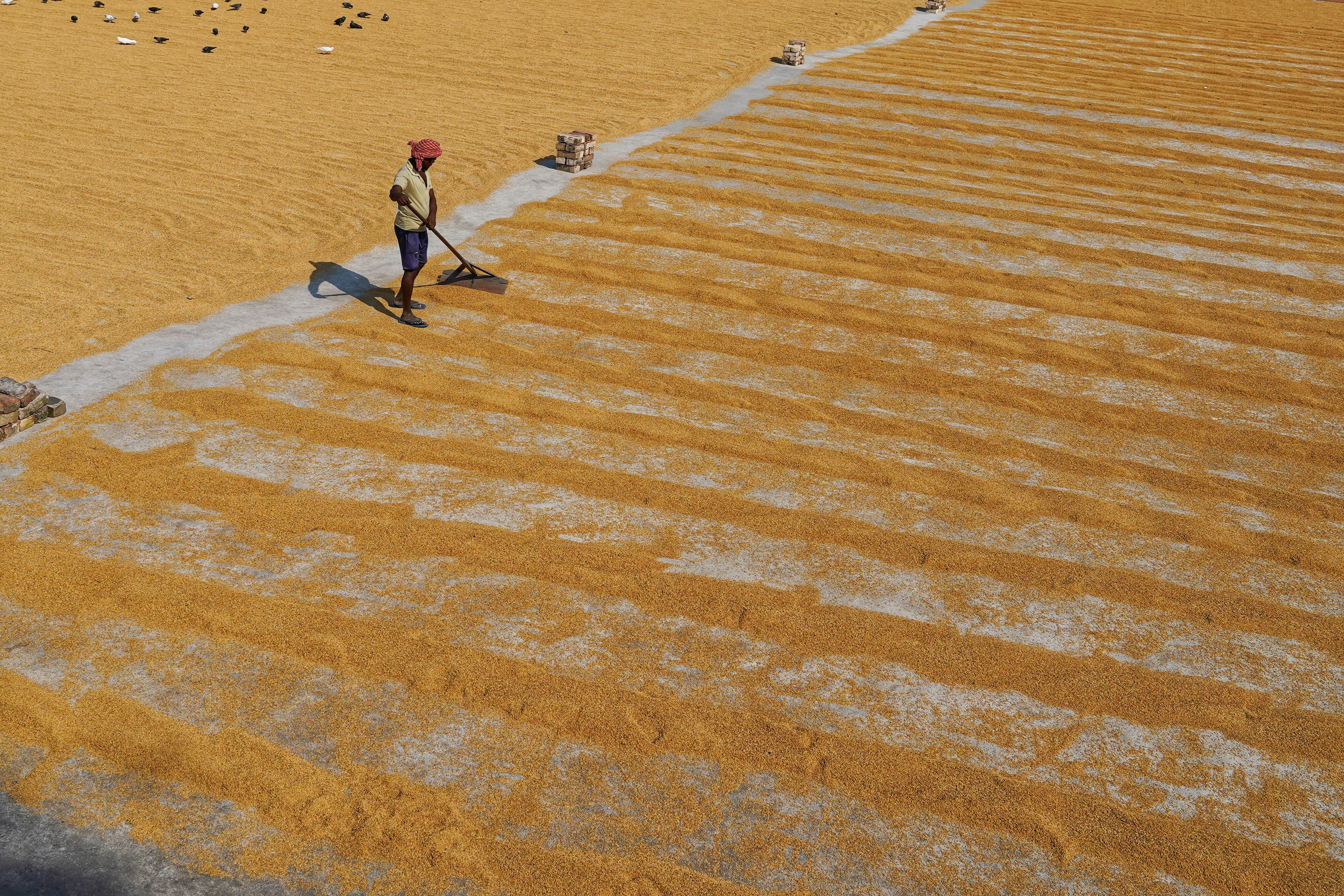 Photo by dibakar16roy