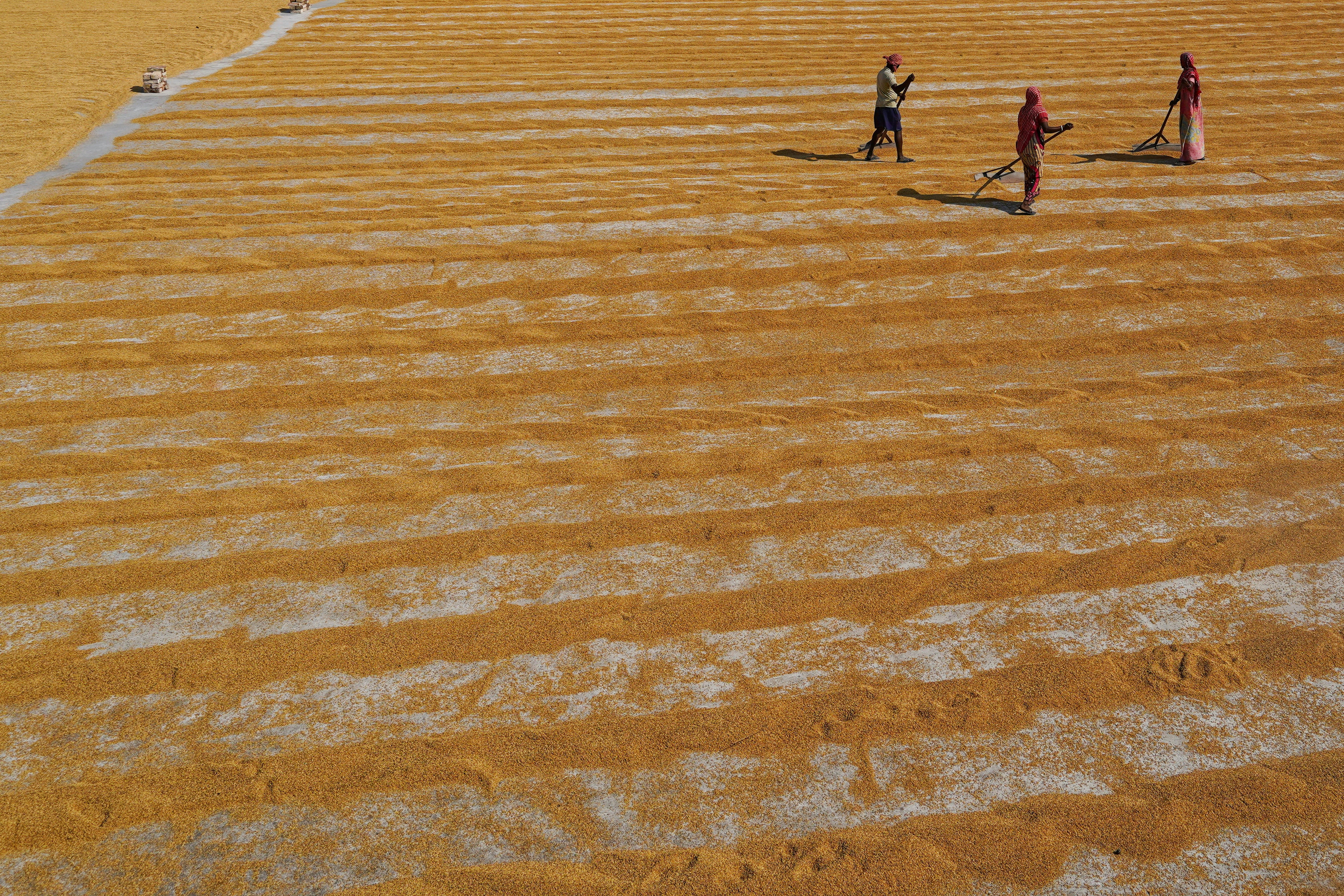 Photo by dibakar16roy