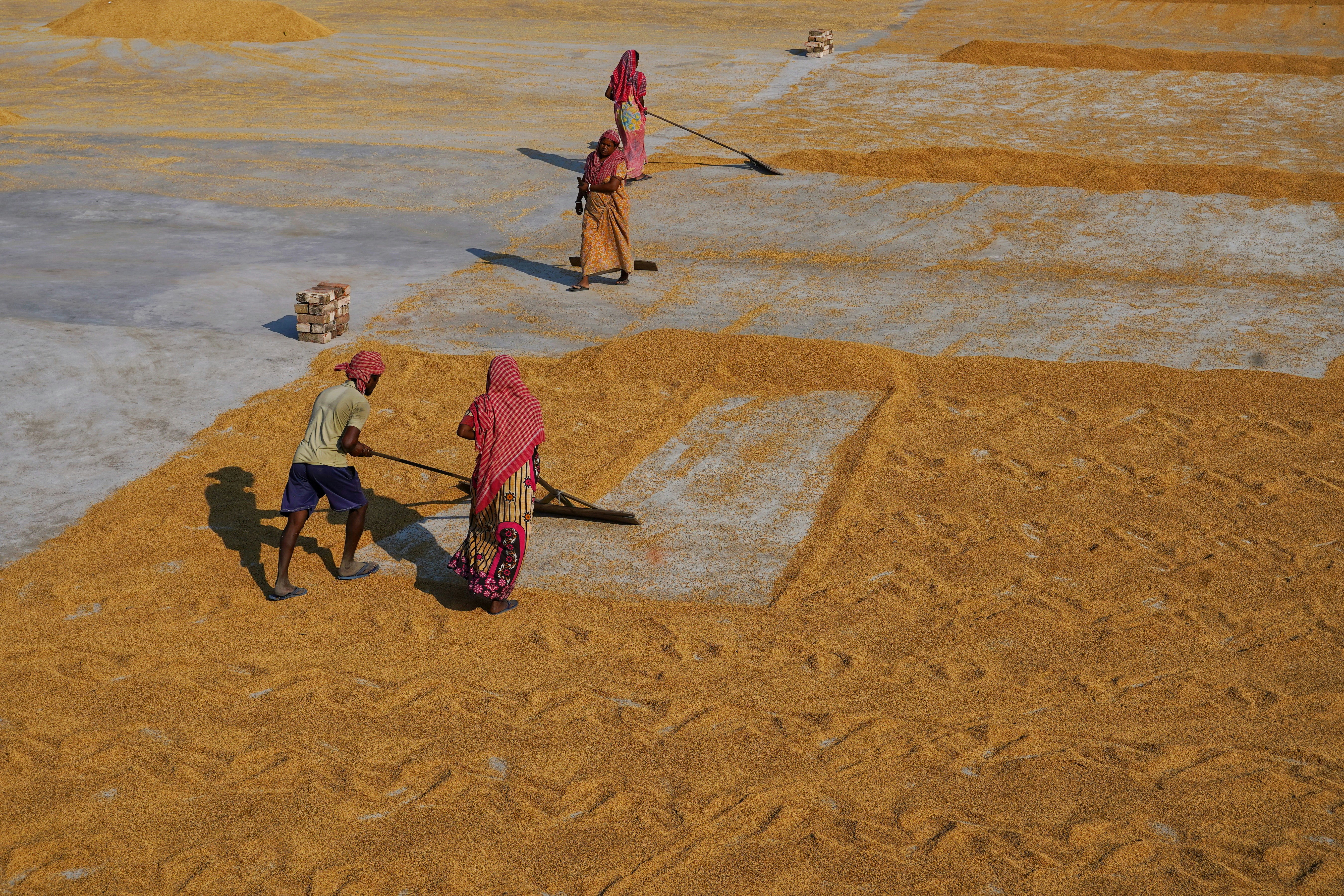 Photo by dibakar16roy