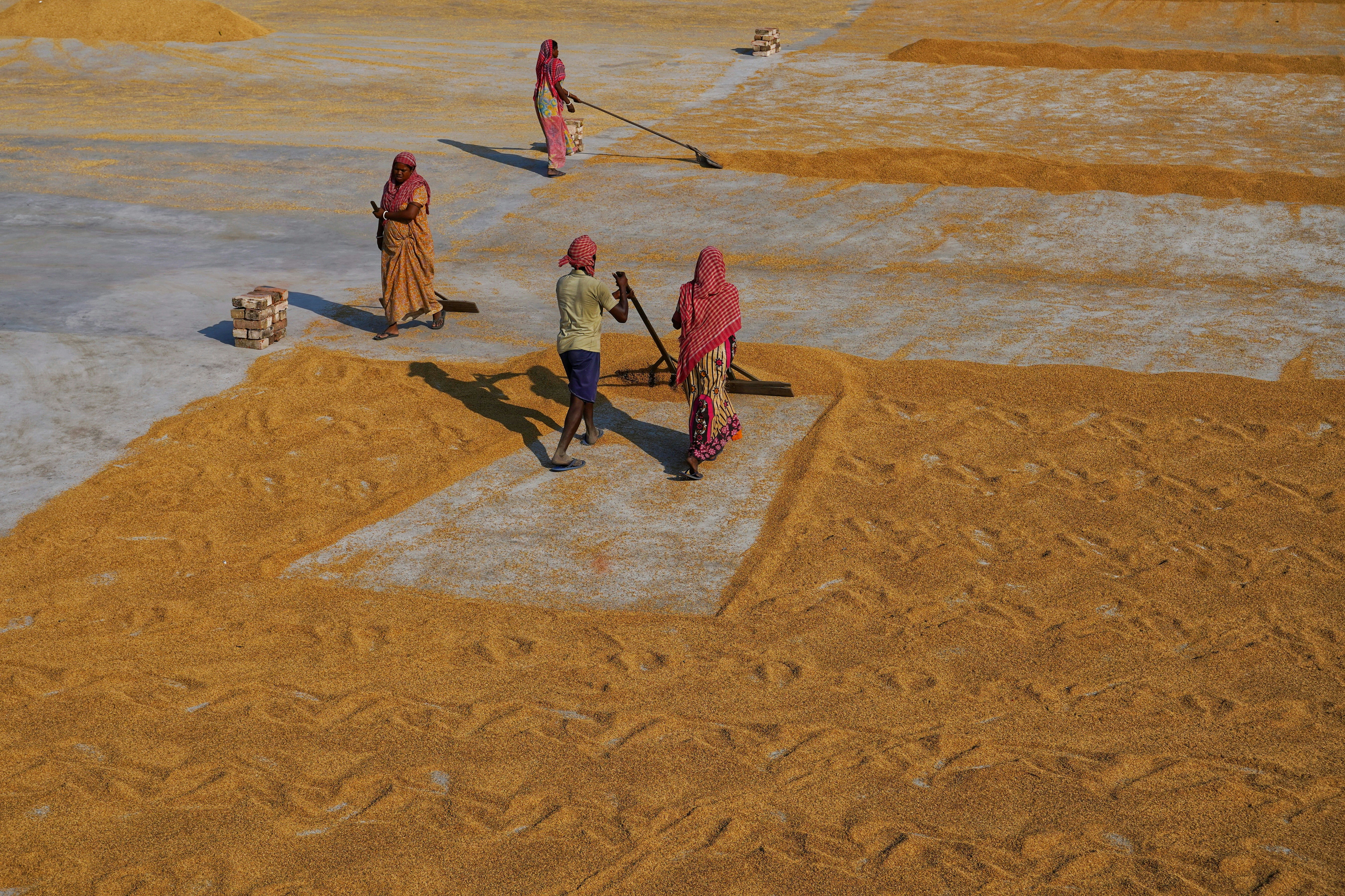 Photo by dibakar16roy