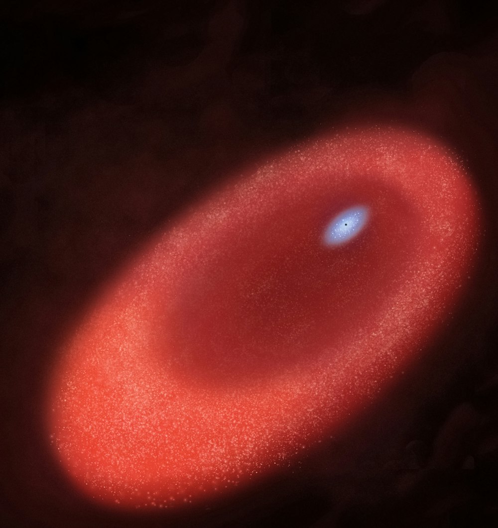 a red disk with a blue spot in the center
