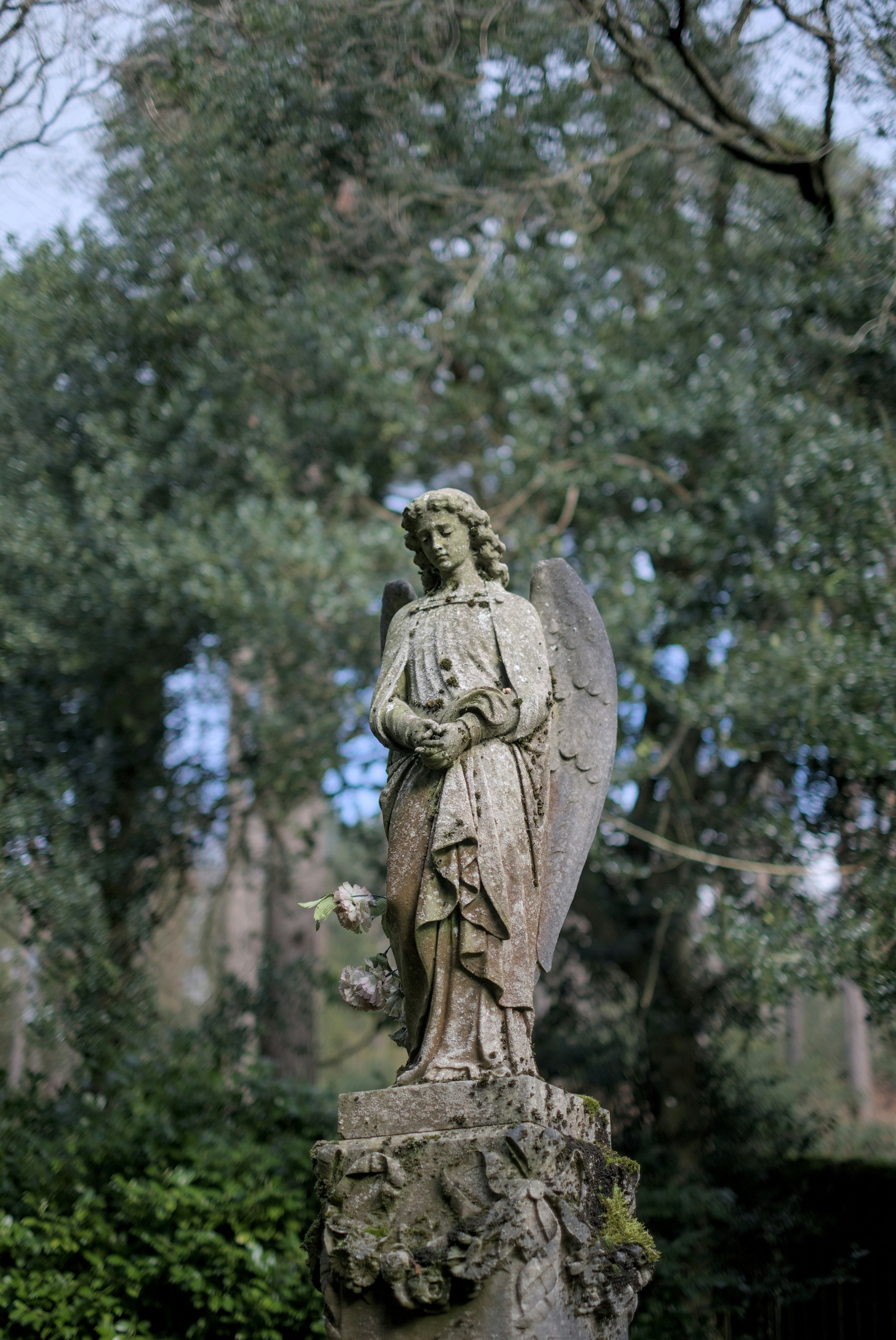 eine Engelsstatue auf einem Friedhof