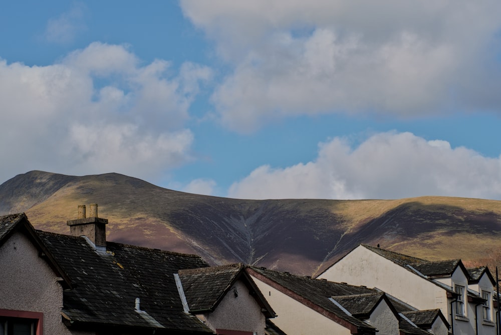 a row of houses with a mountain in the background