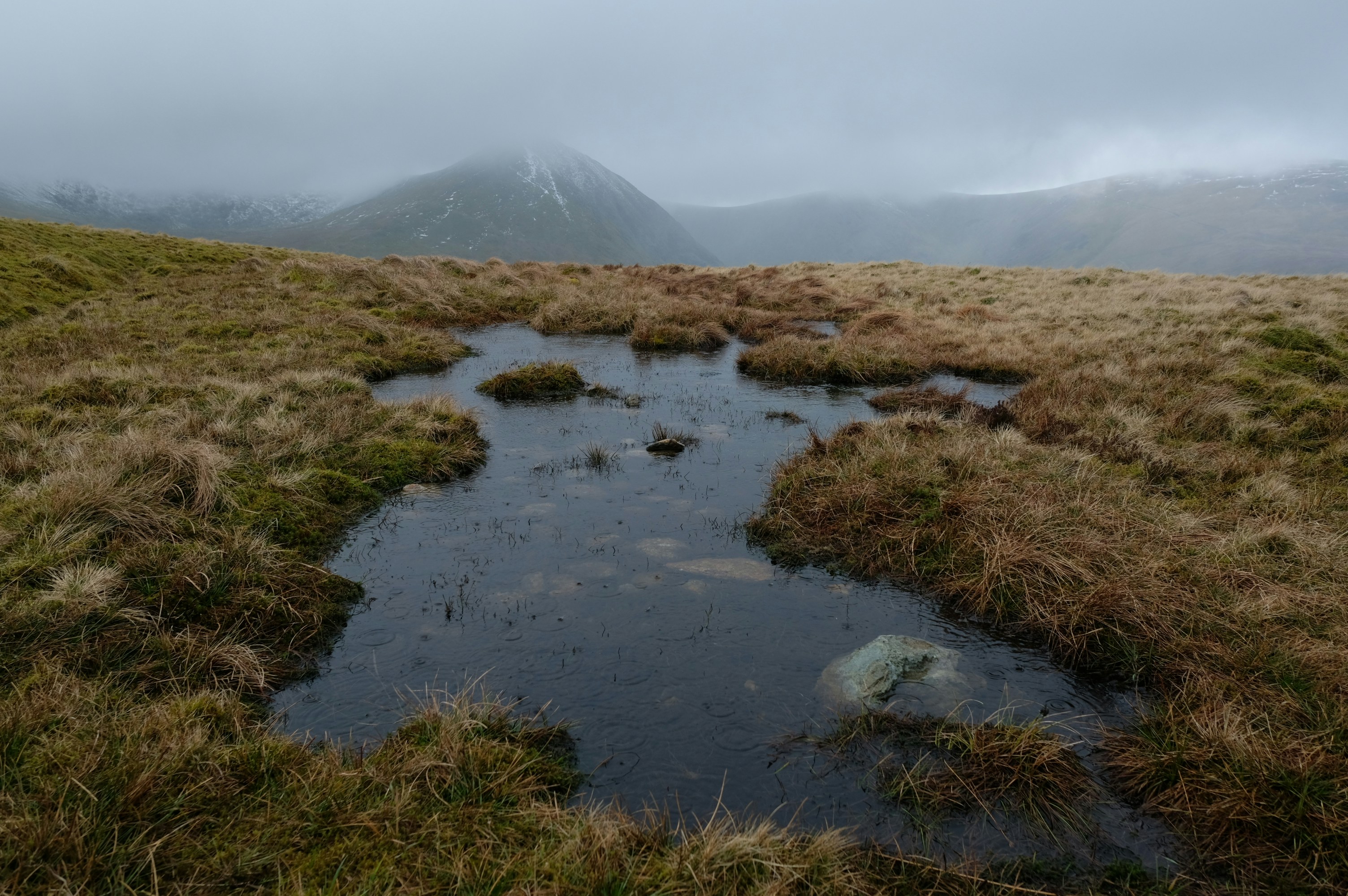 a small stream running through a grass covered field